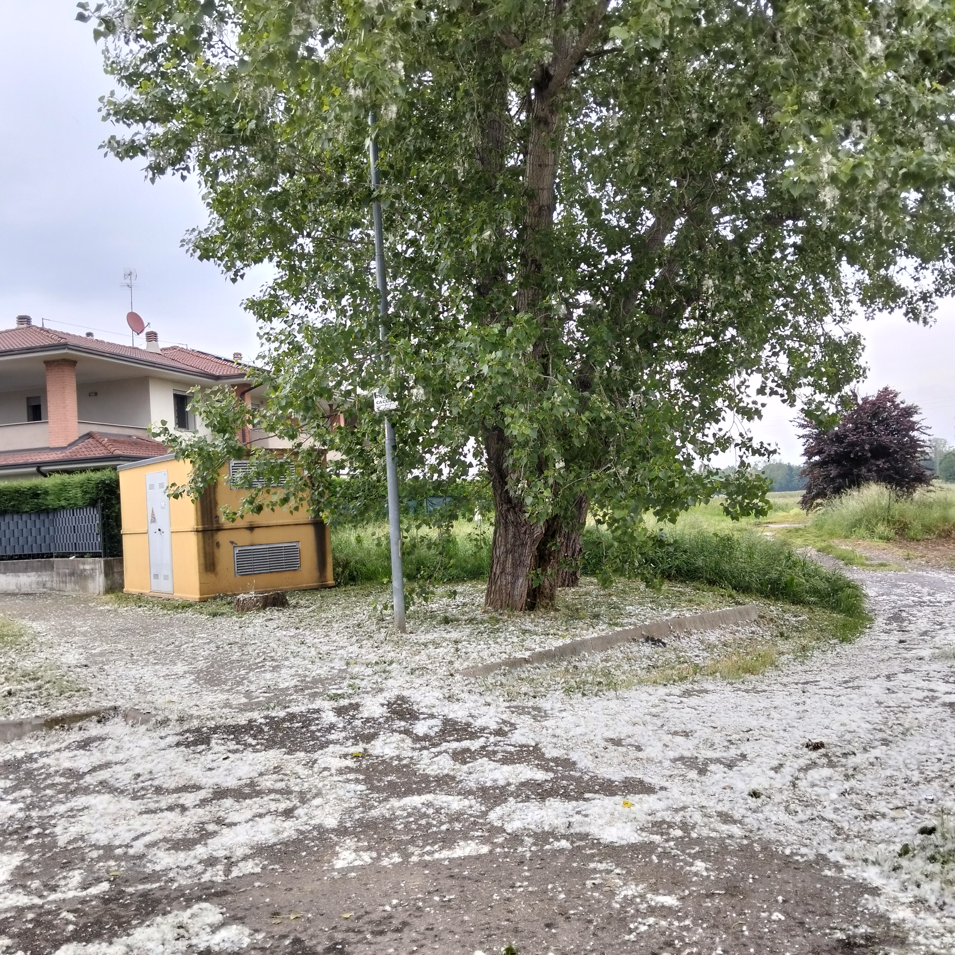 Immagine della segnalazione