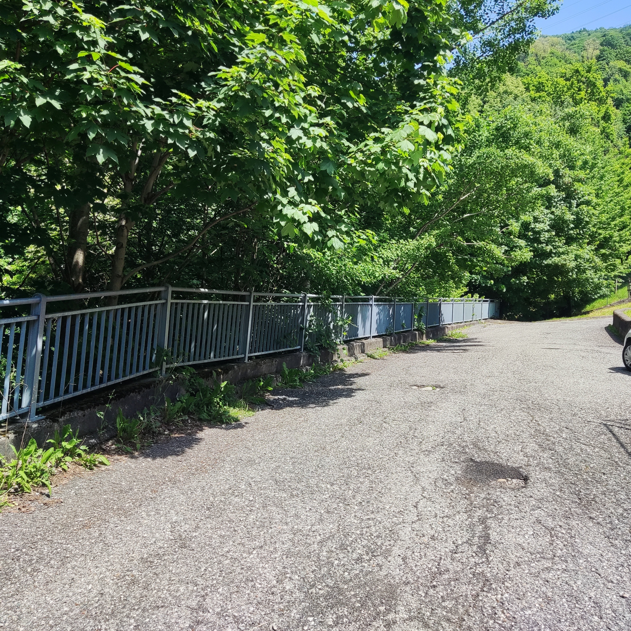 Immagine della segnalazione