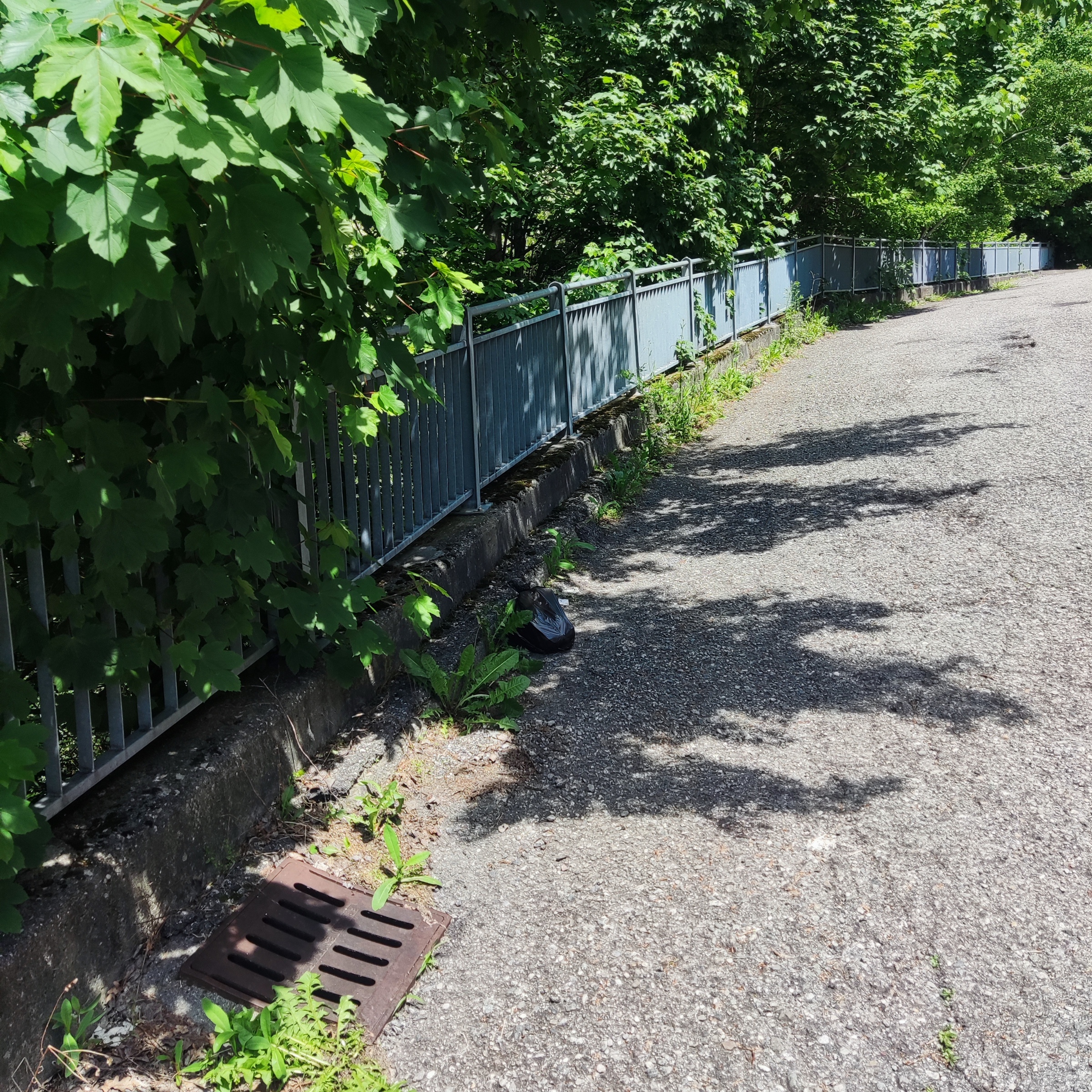 Immagine della segnalazione