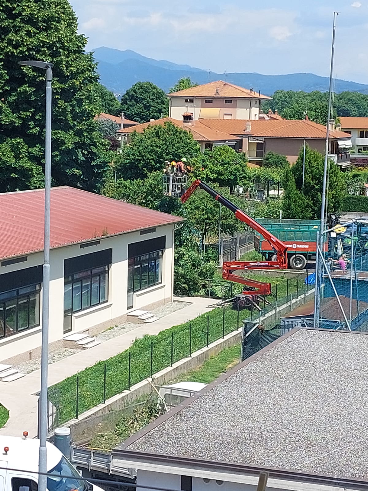 Immagine della segnalazione