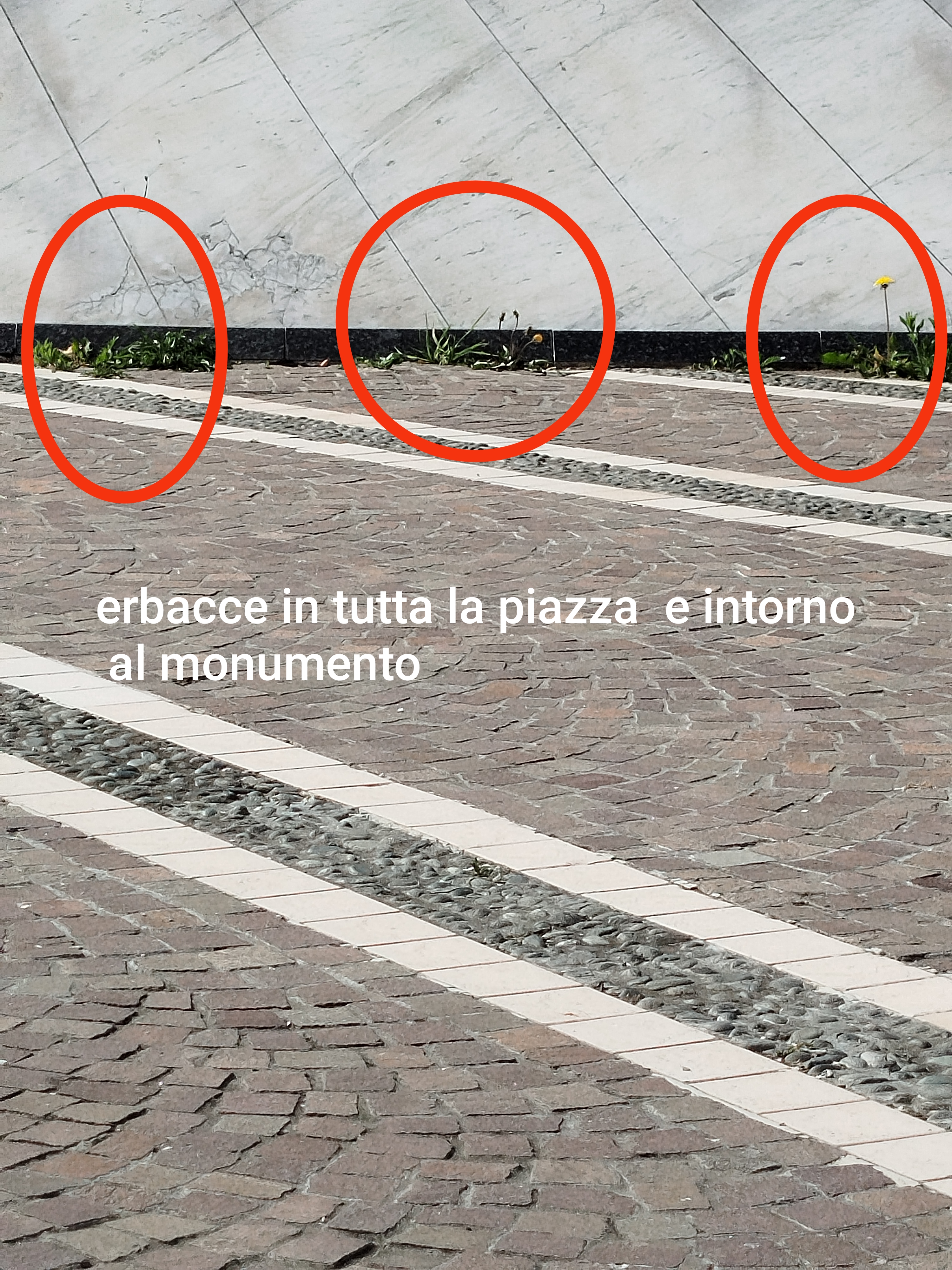 Immagine della segnalazione
