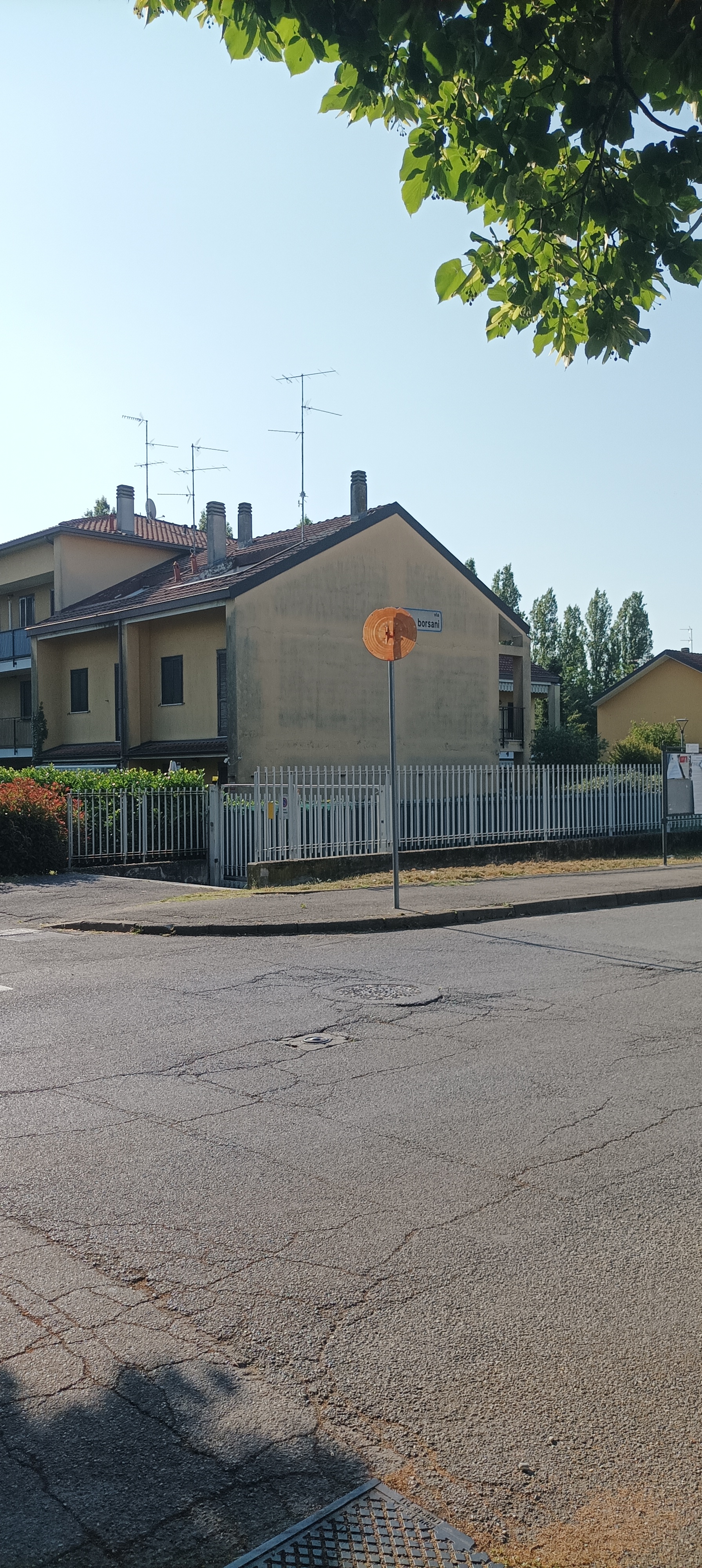 Immagine della segnalazione