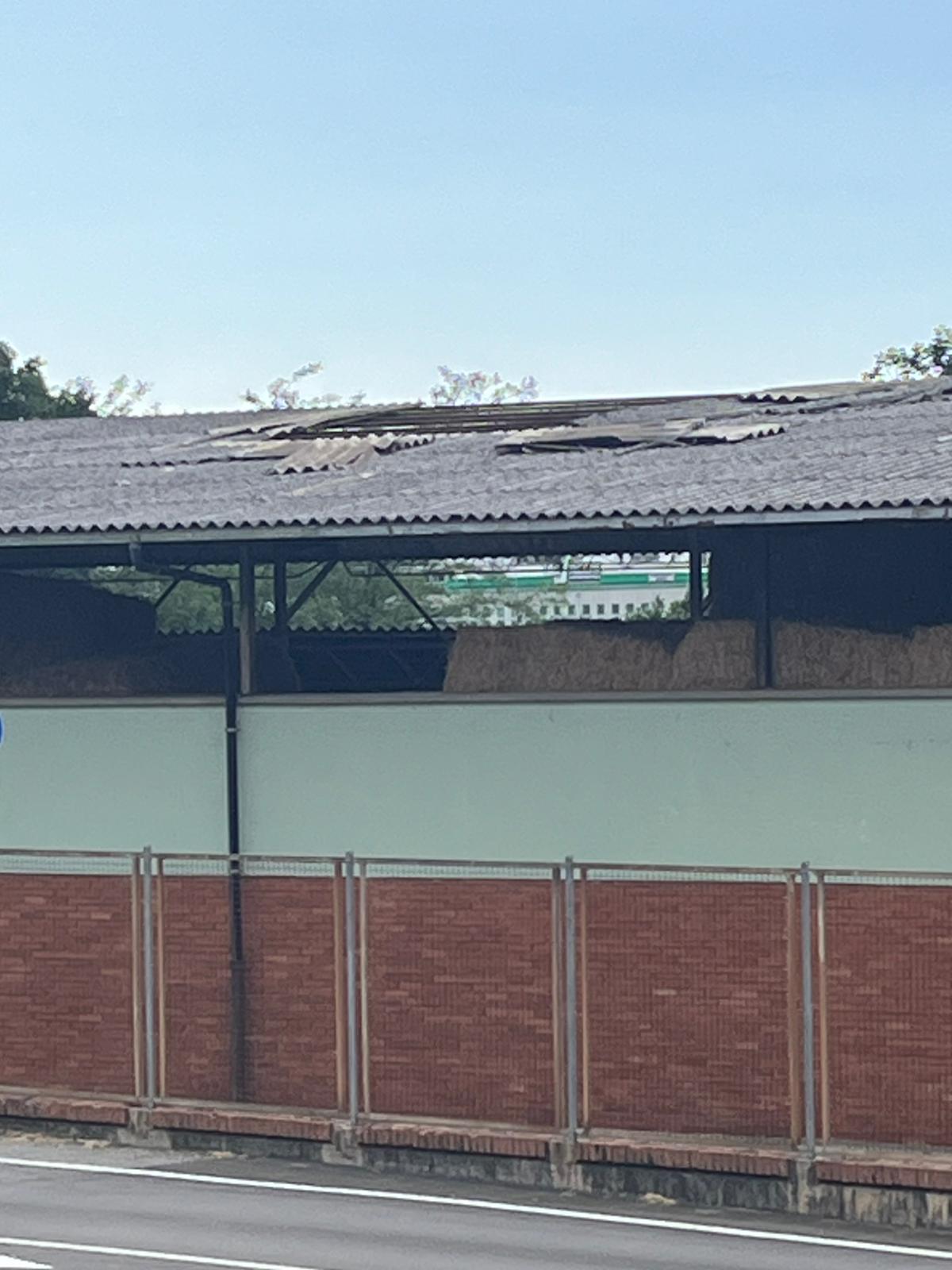 Immagine della segnalazione