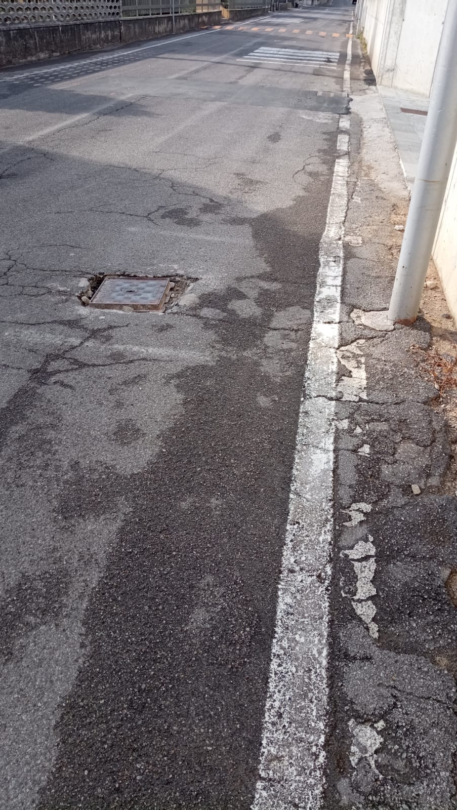 Immagine della segnalazione