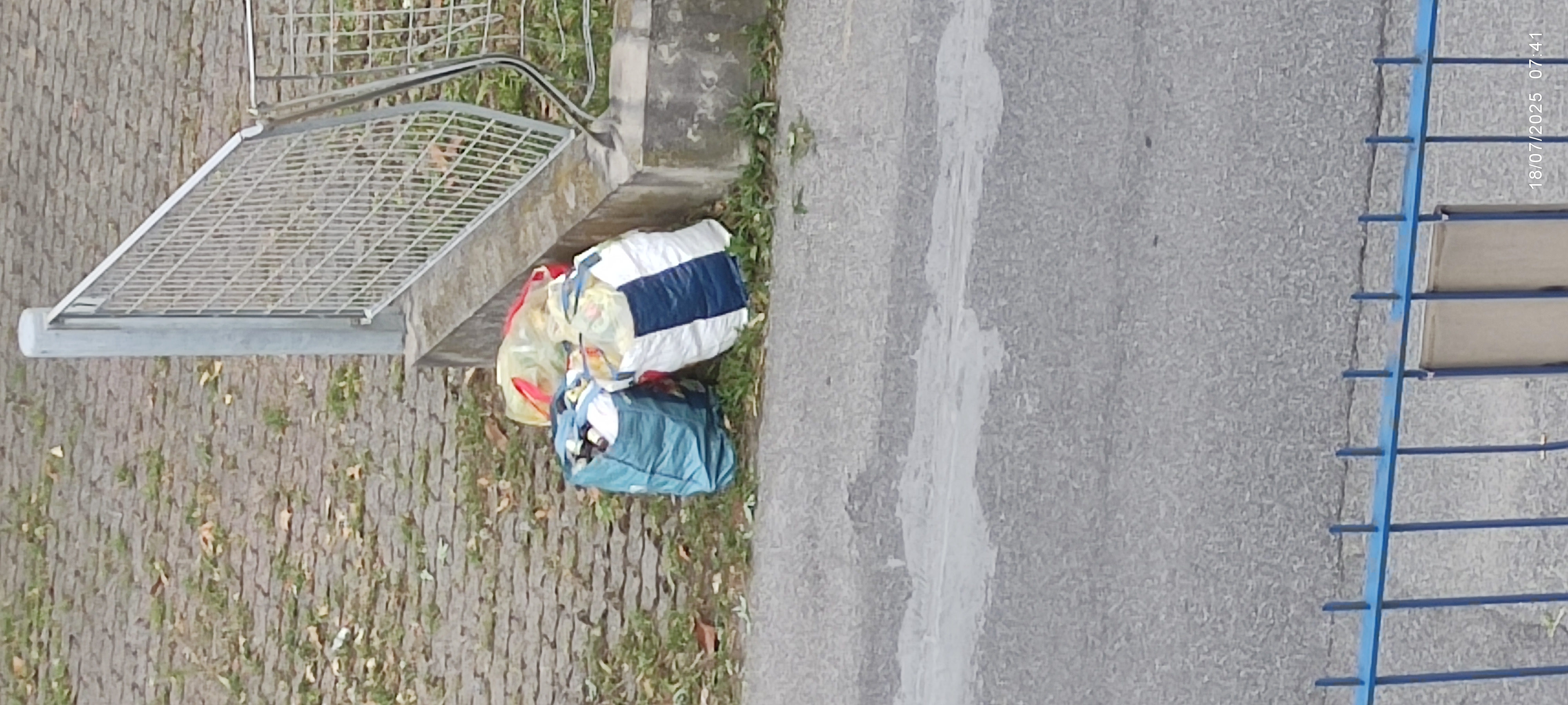 Immagine della segnalazione