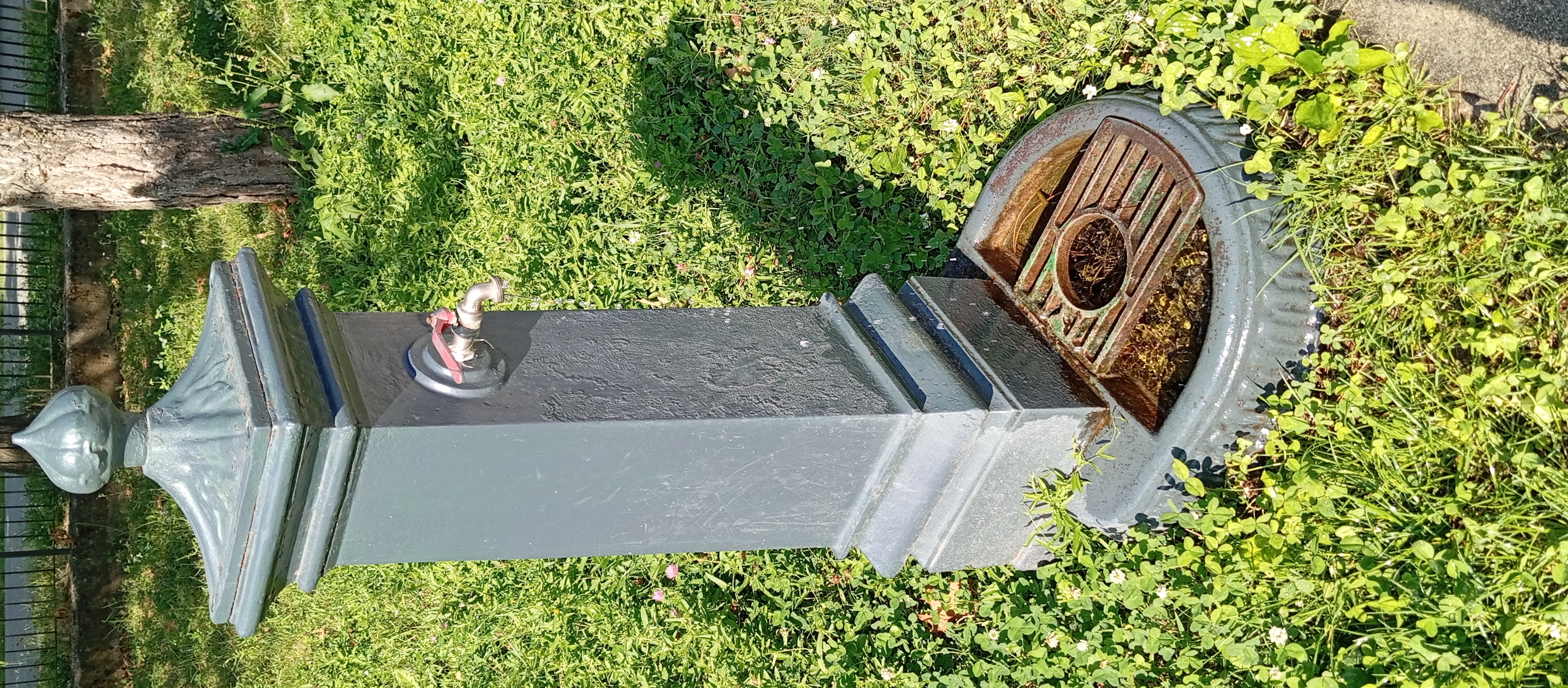 Immagine della segnalazione