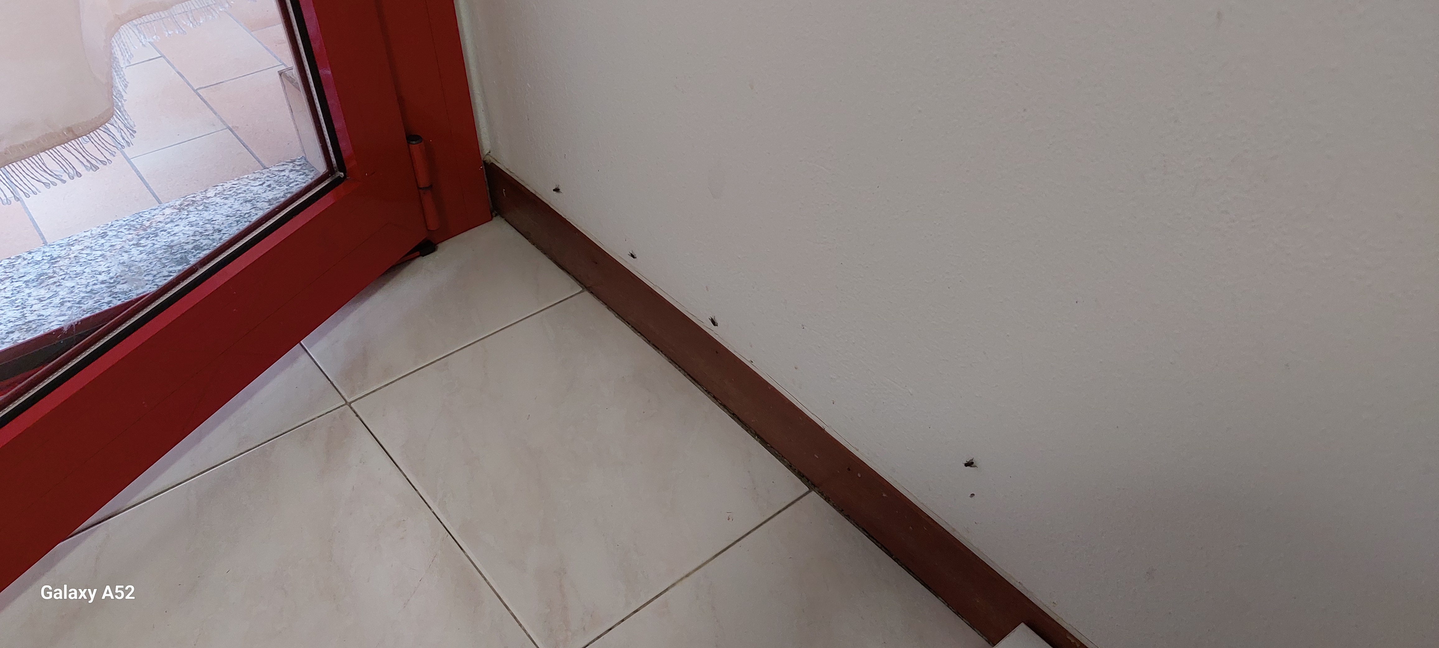Immagine della segnalazione