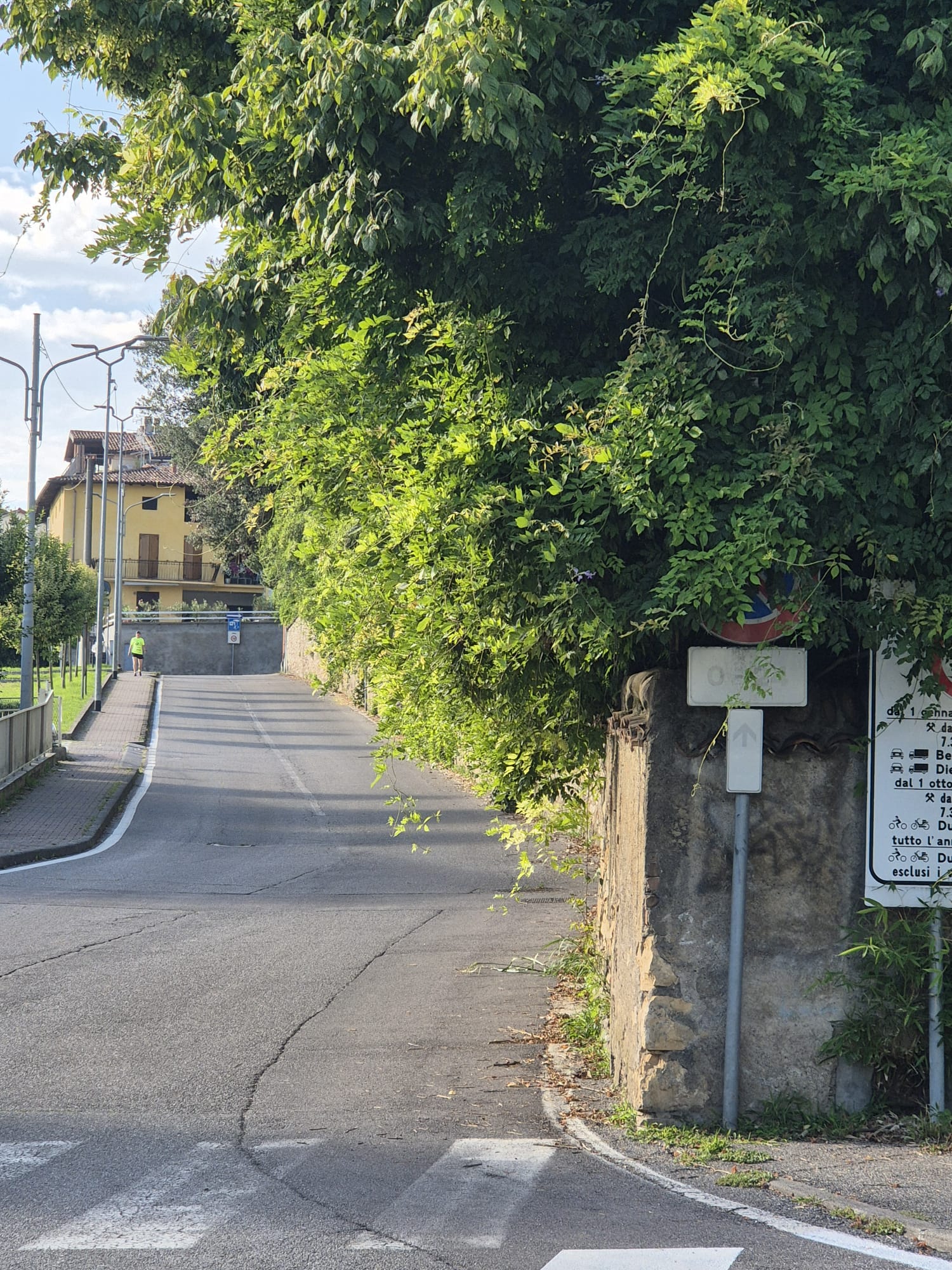 Immagine della segnalazione