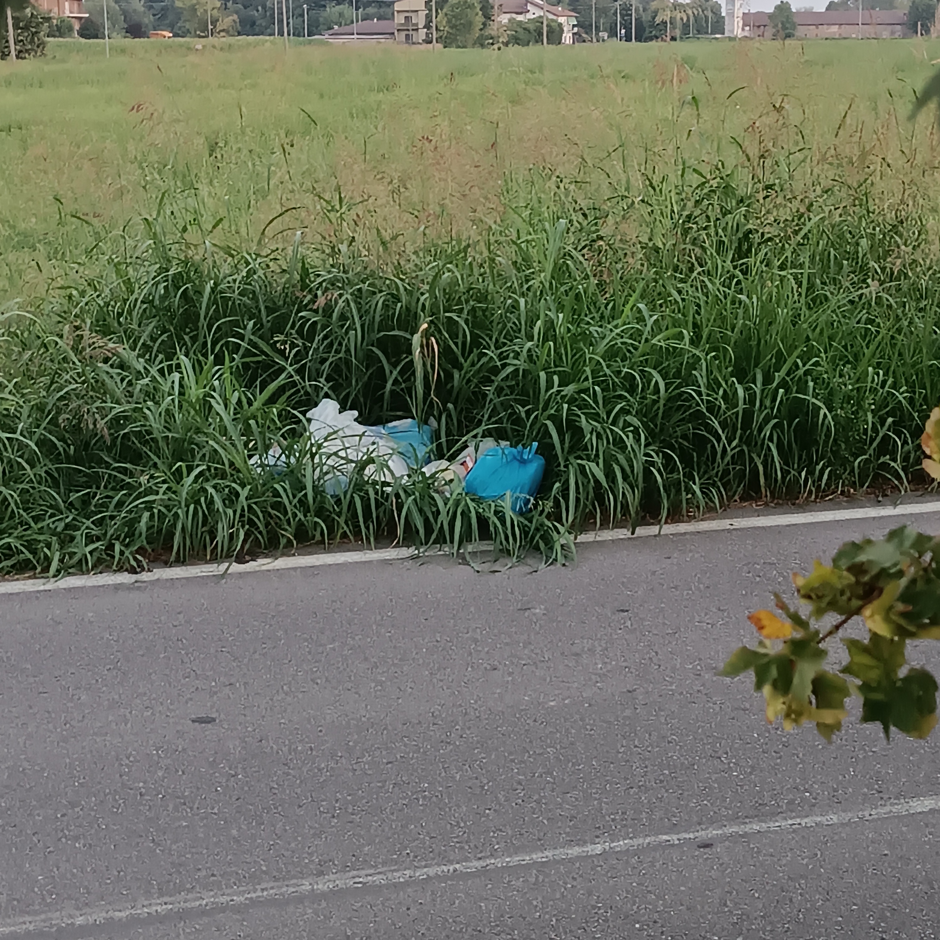 Immagine della segnalazione