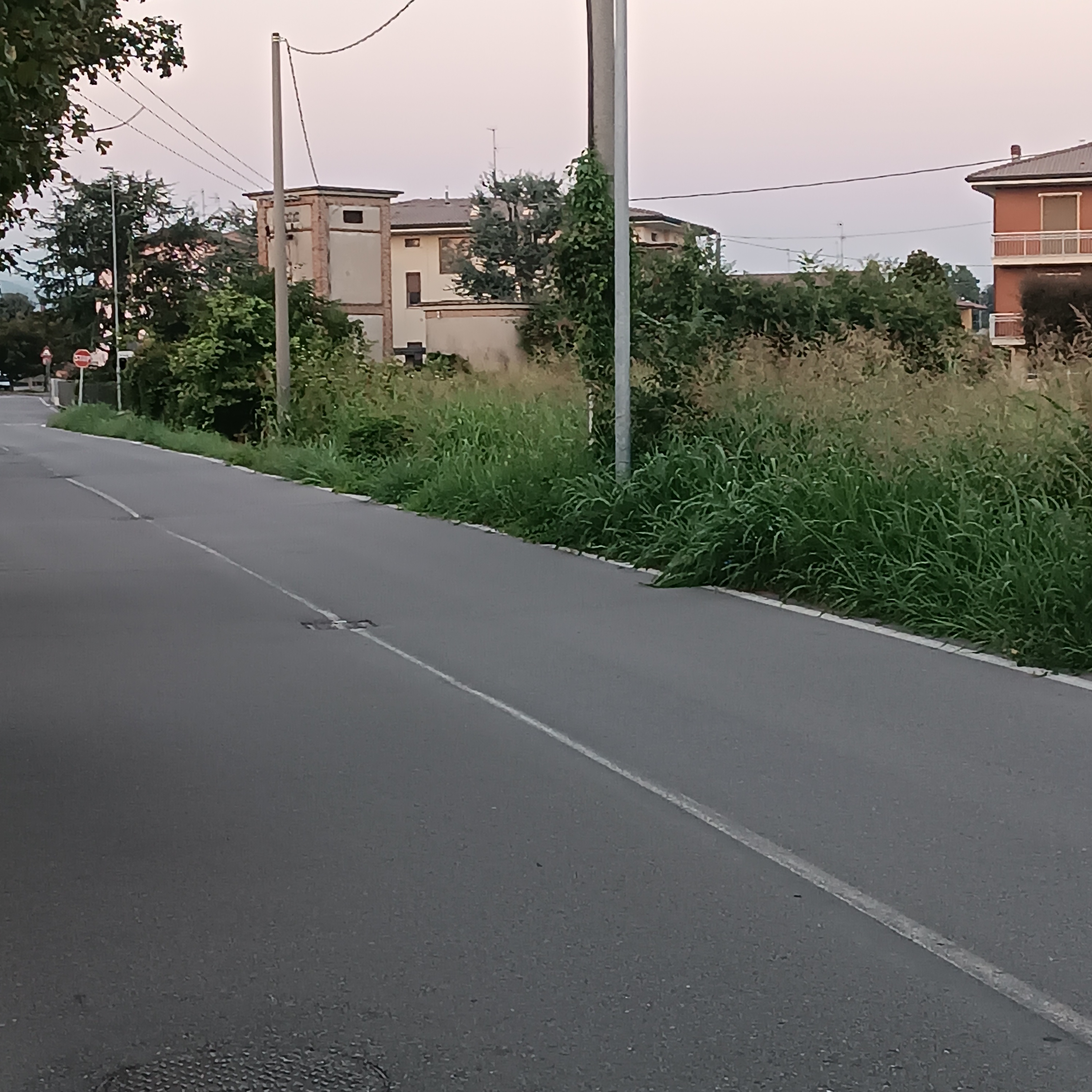 Immagine della segnalazione