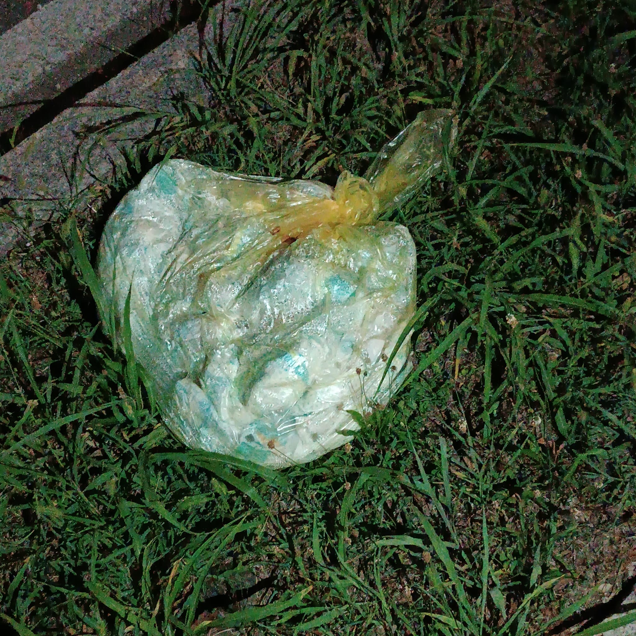 Immagine della segnalazione