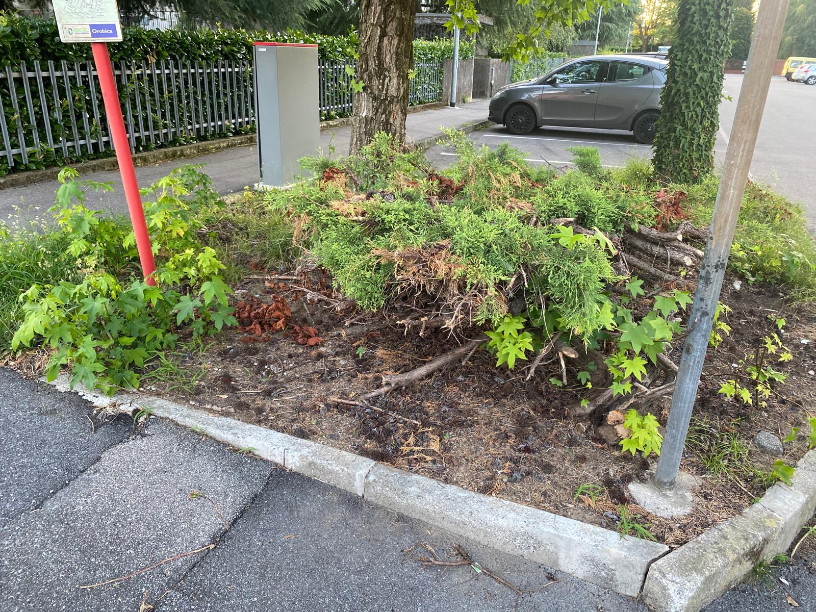 Immagine della segnalazione
