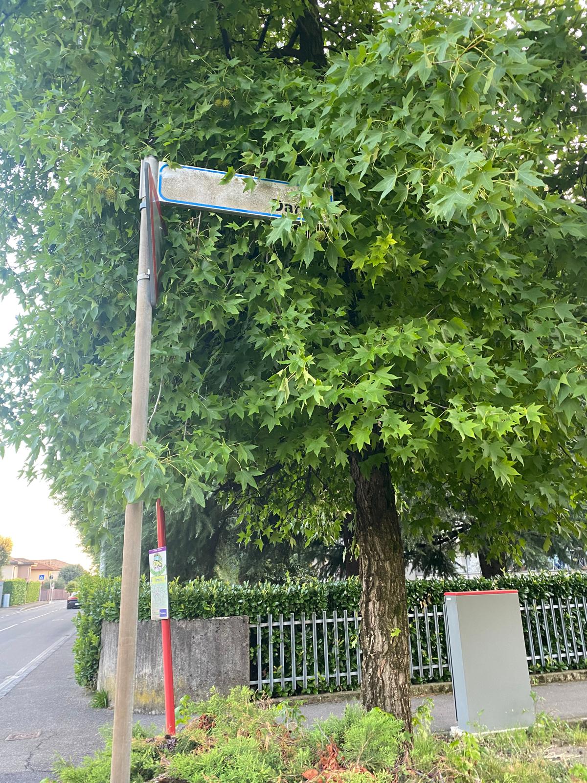 Immagine della segnalazione