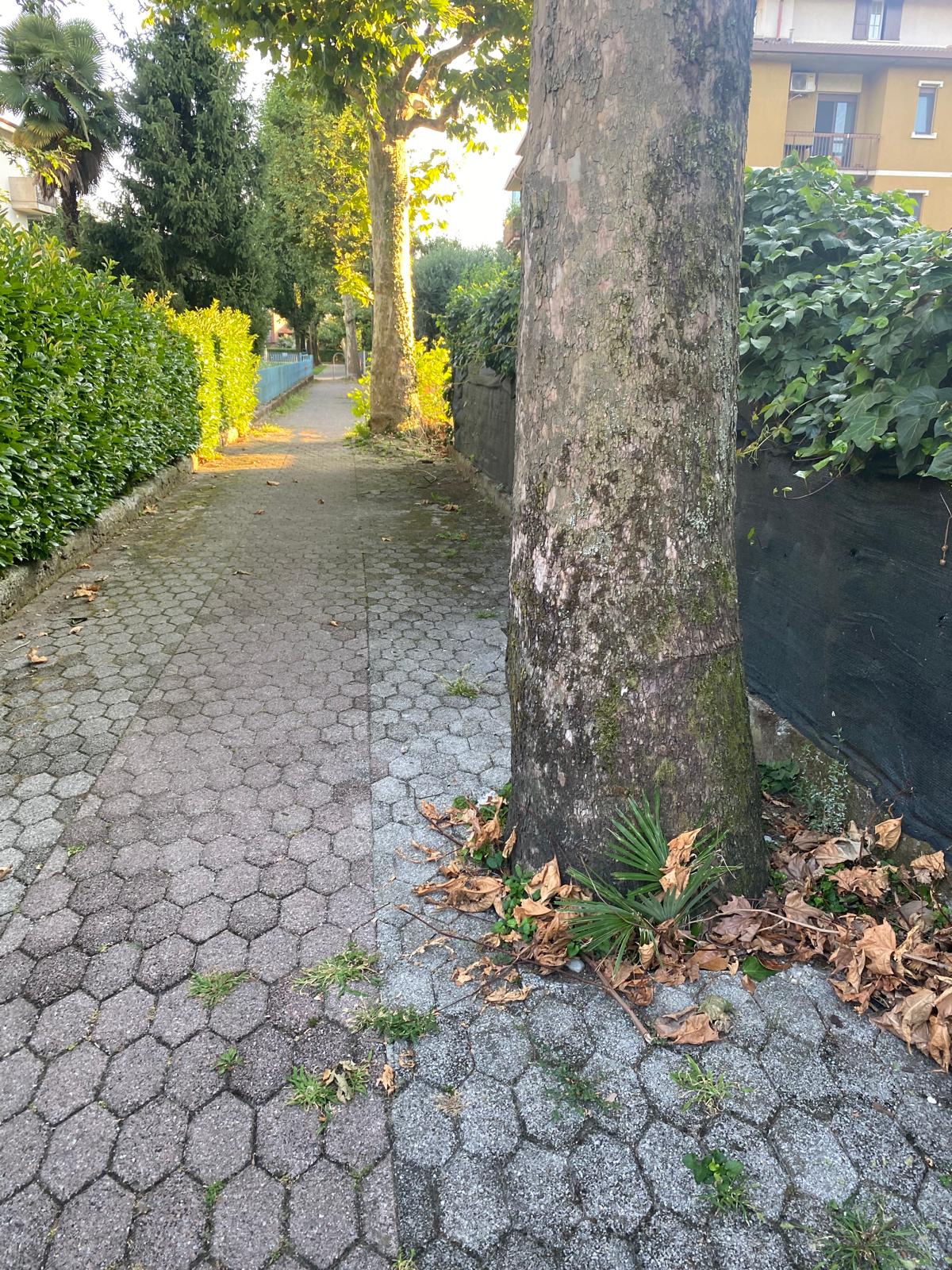 Immagine della segnalazione