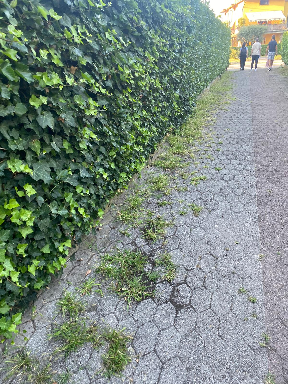 Immagine della segnalazione