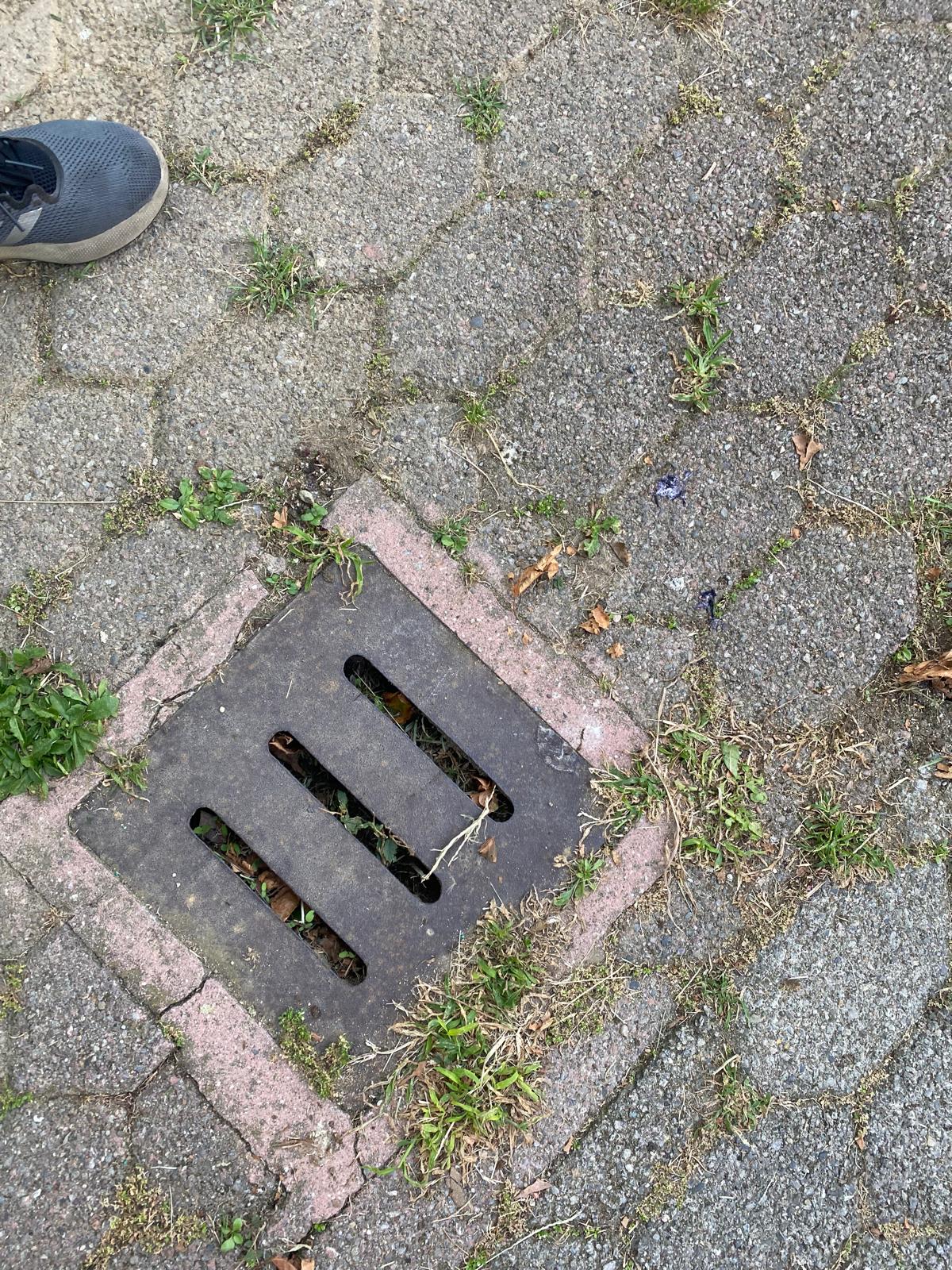 Immagine della segnalazione