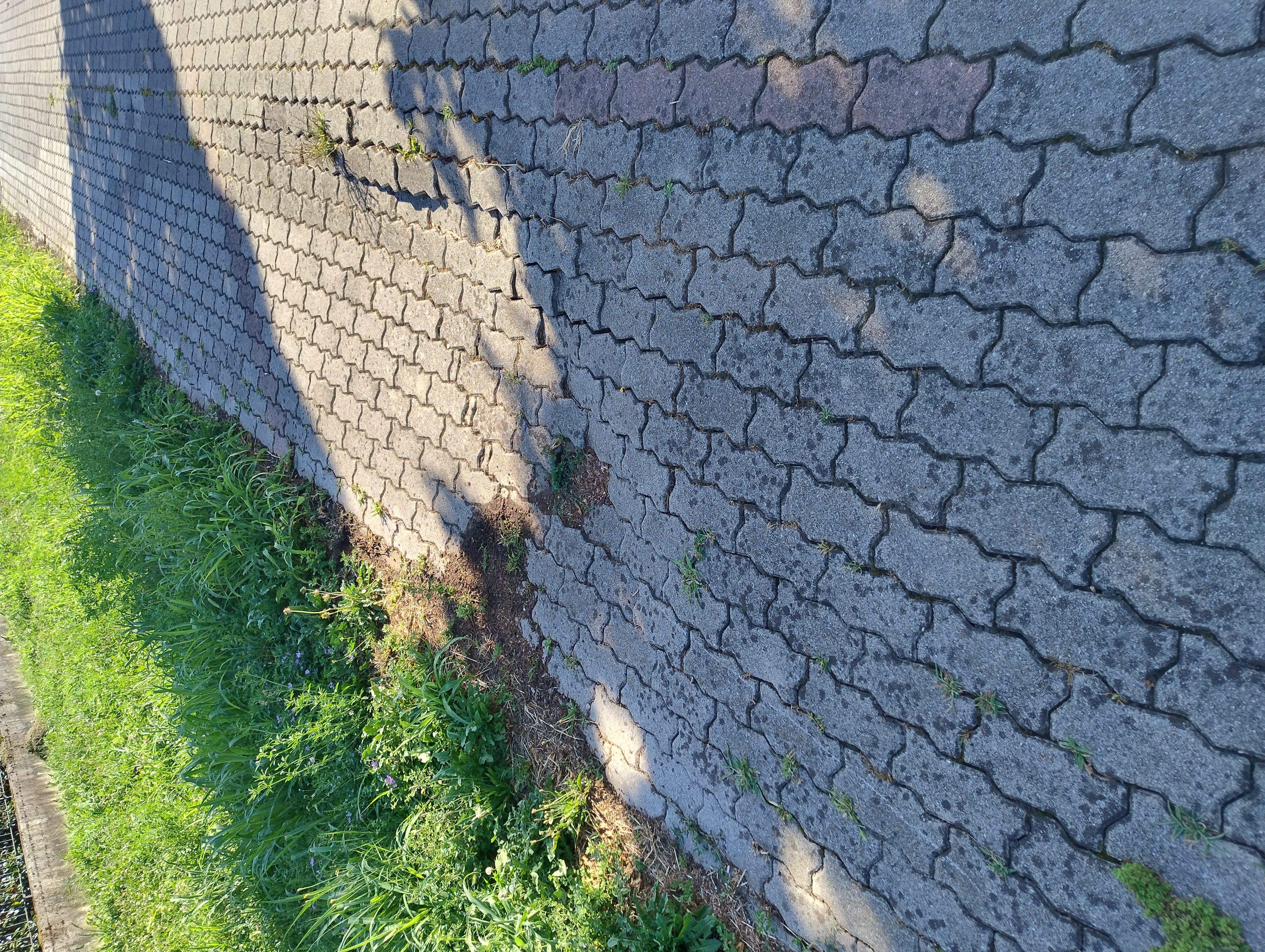 Immagine della segnalazione