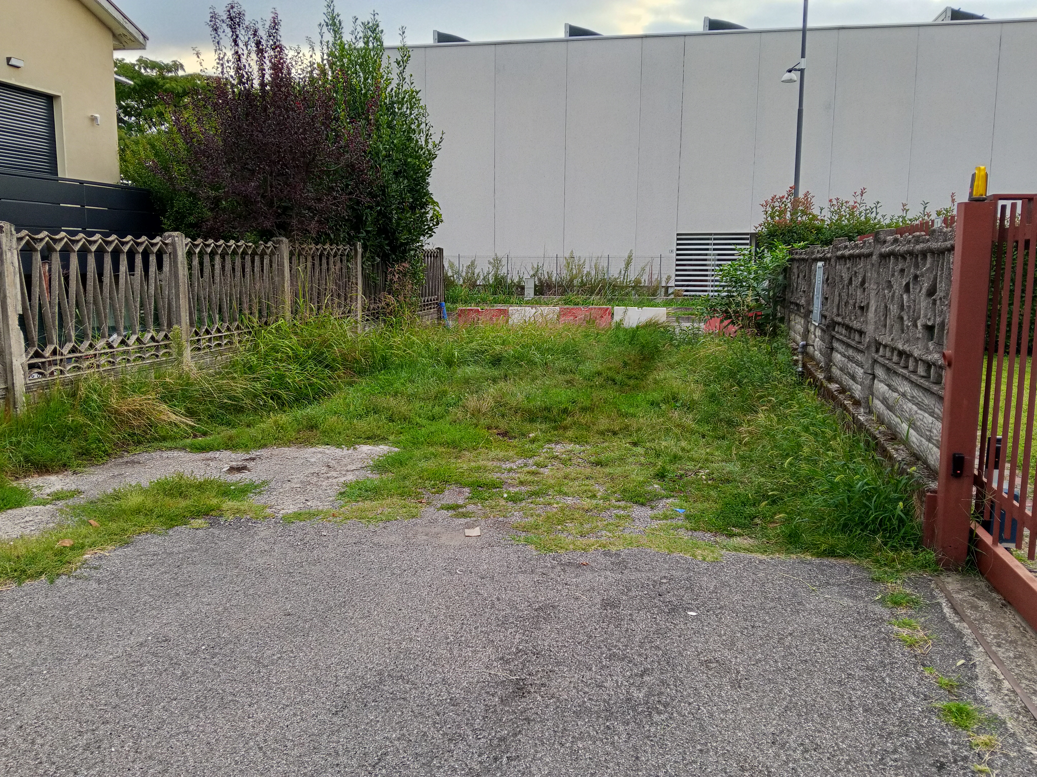 Immagine della segnalazione