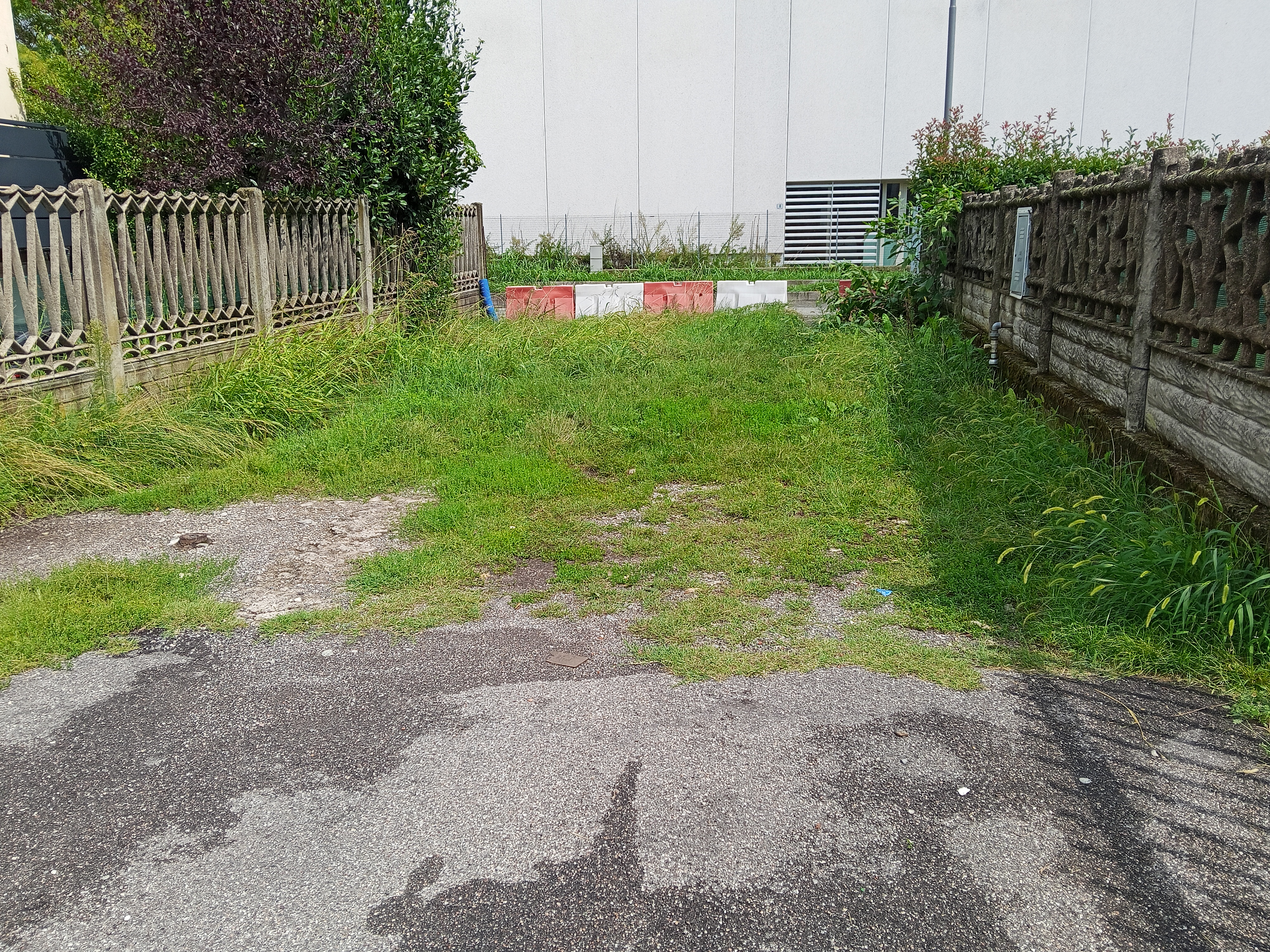 Immagine della segnalazione