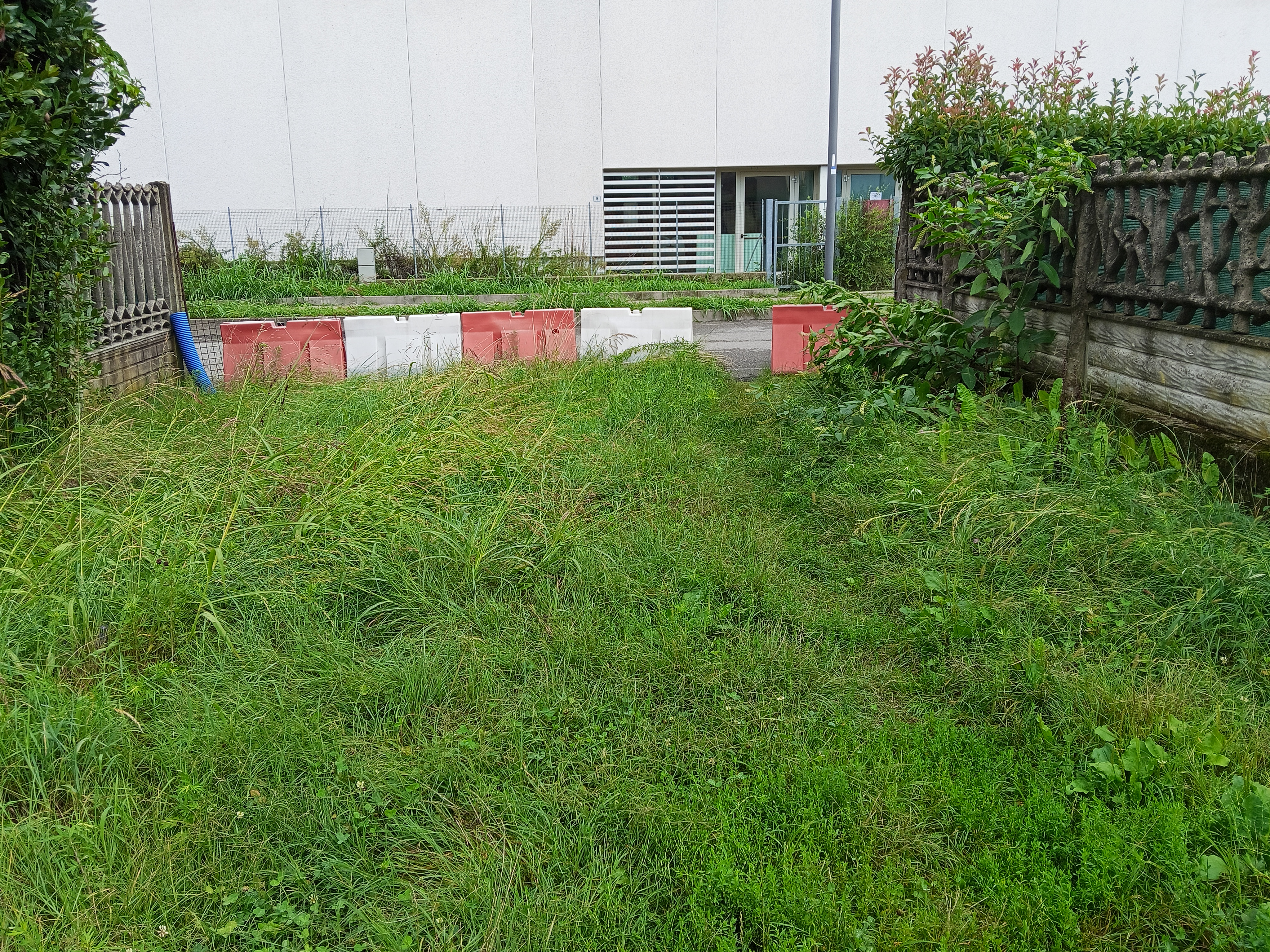 Immagine della segnalazione