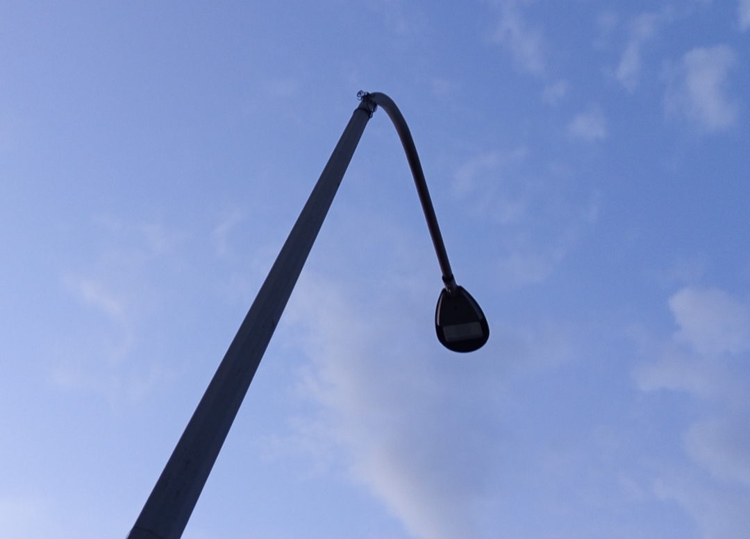 Immagine della segnalazione