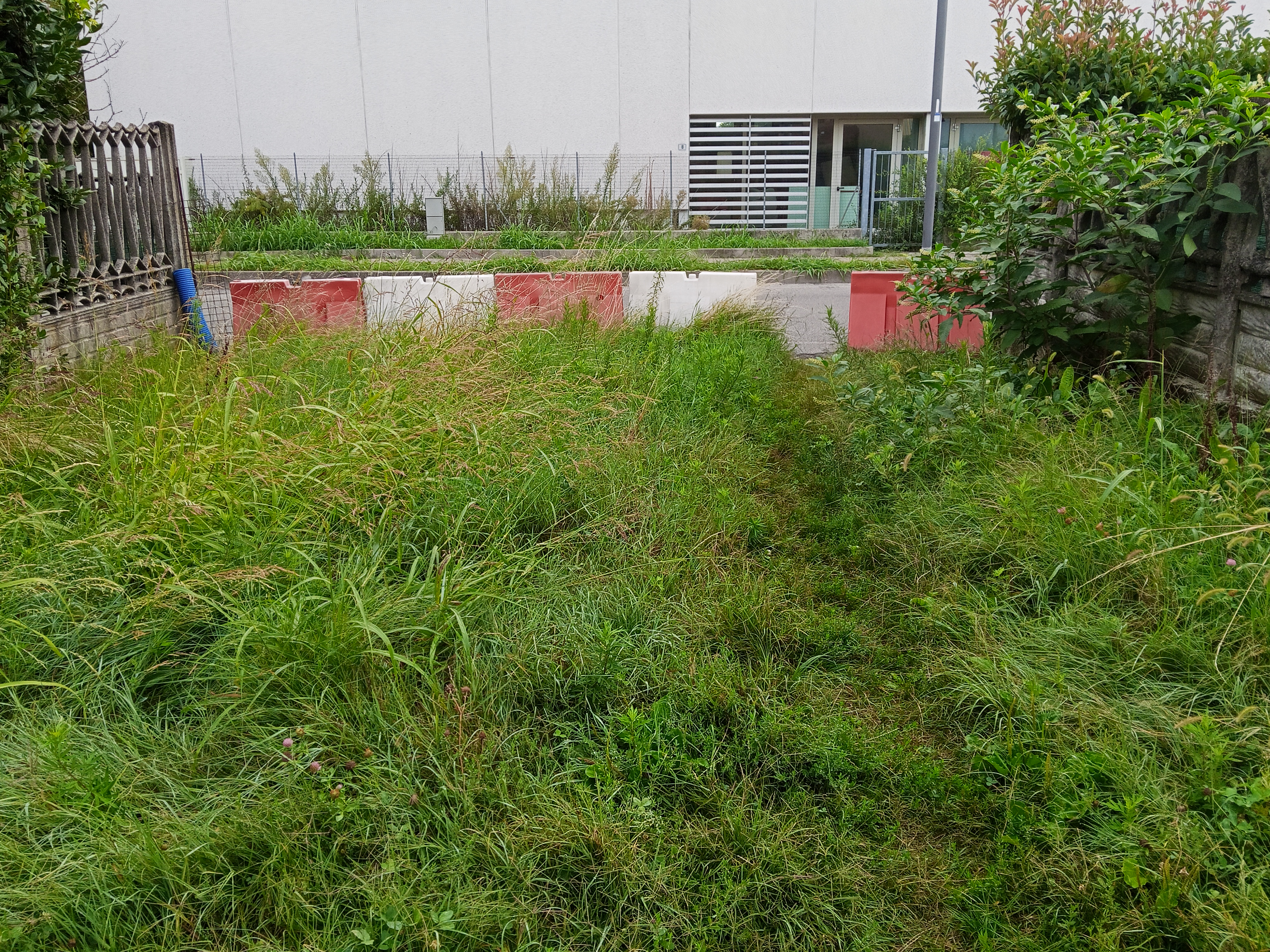 Immagine della segnalazione