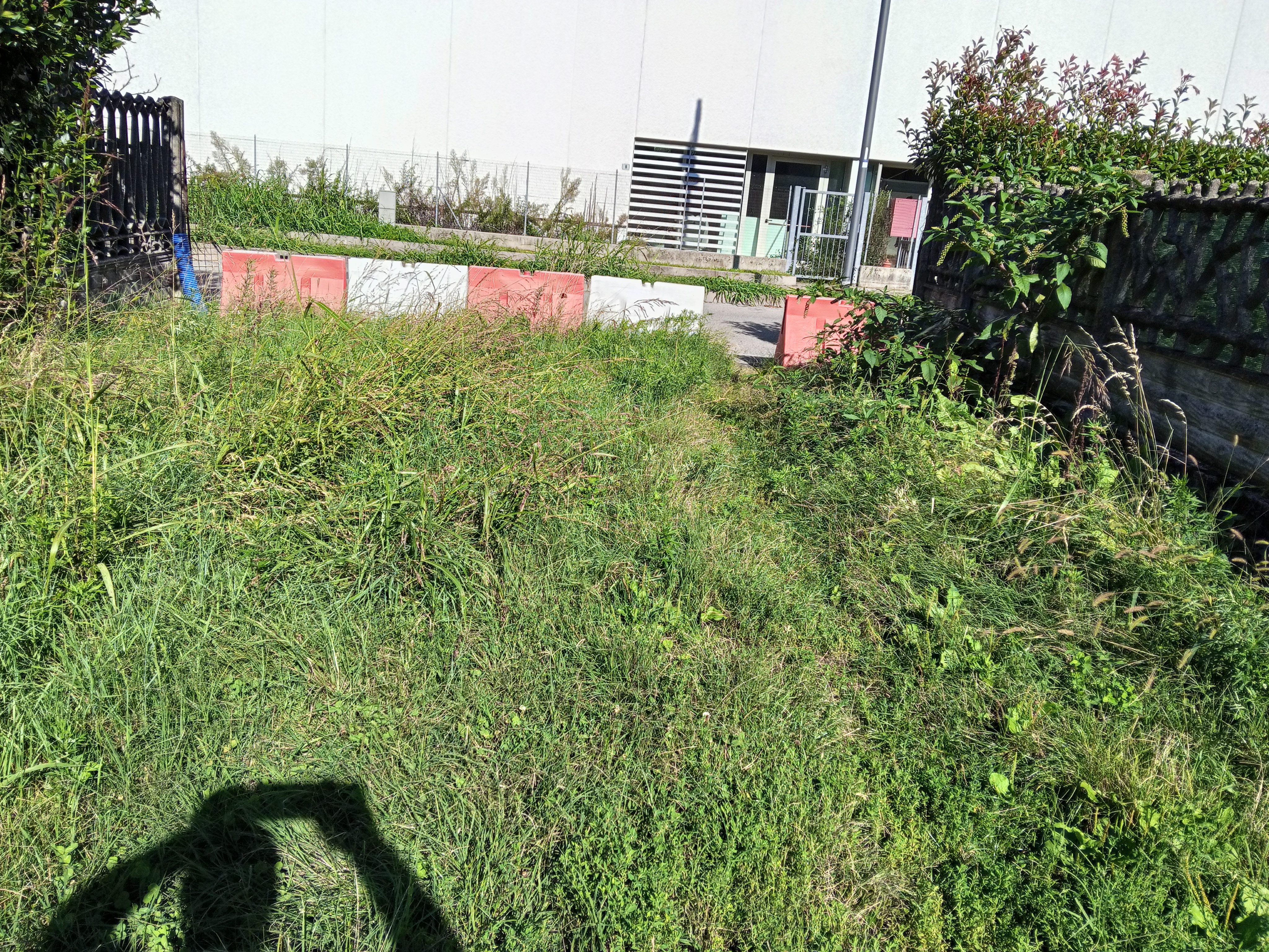 Immagine della segnalazione