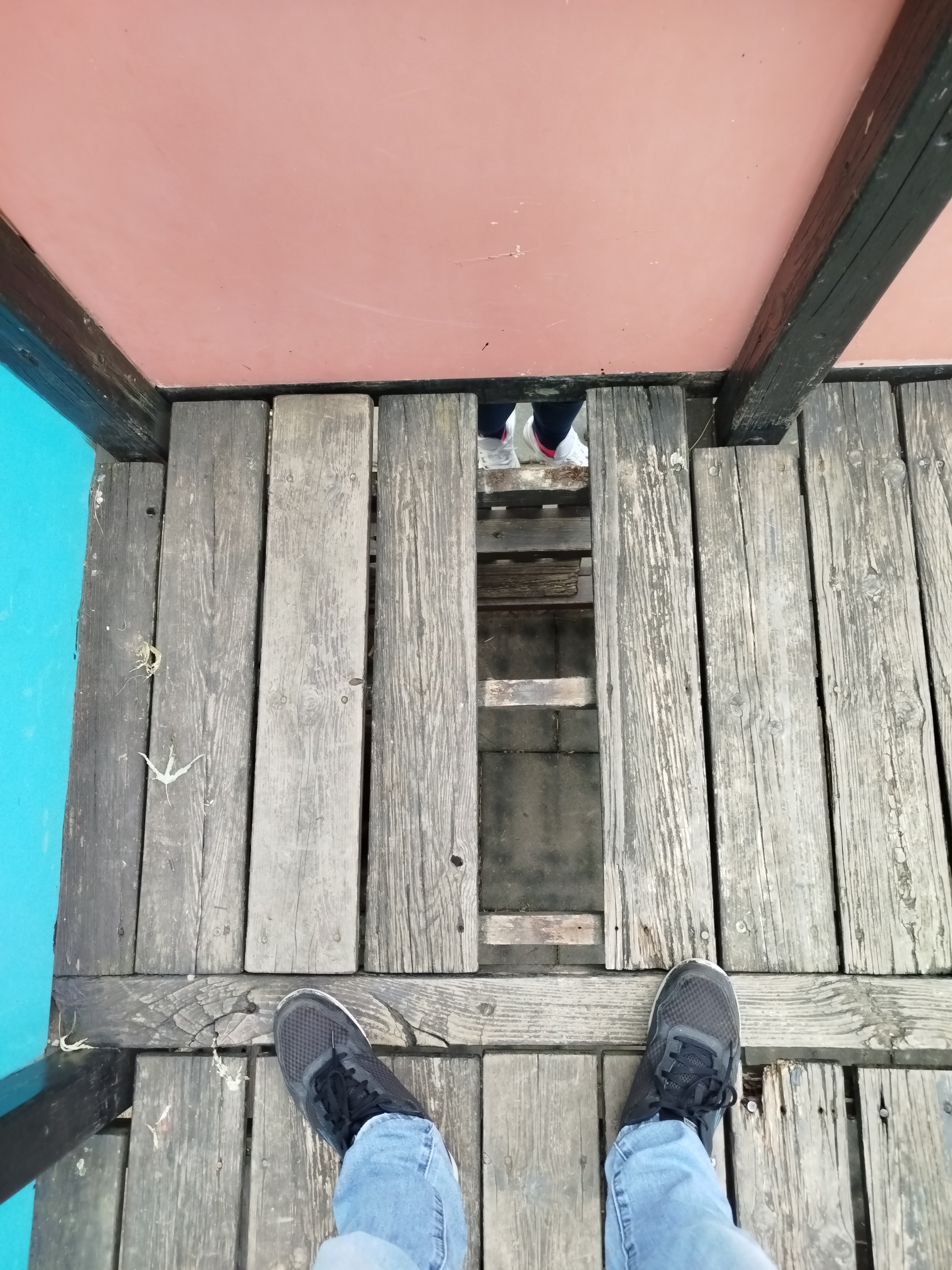 Immagine della segnalazione