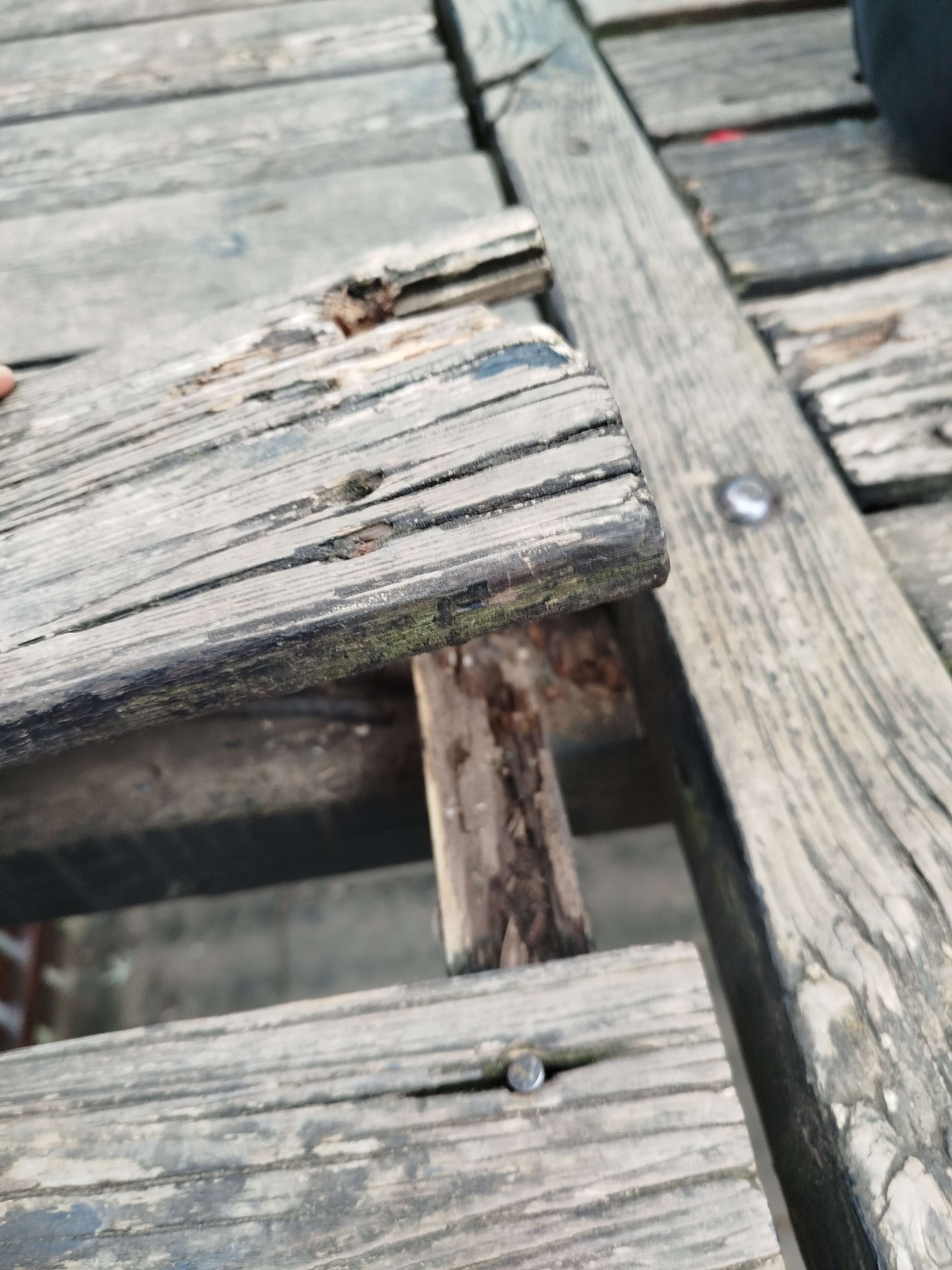 Immagine della segnalazione