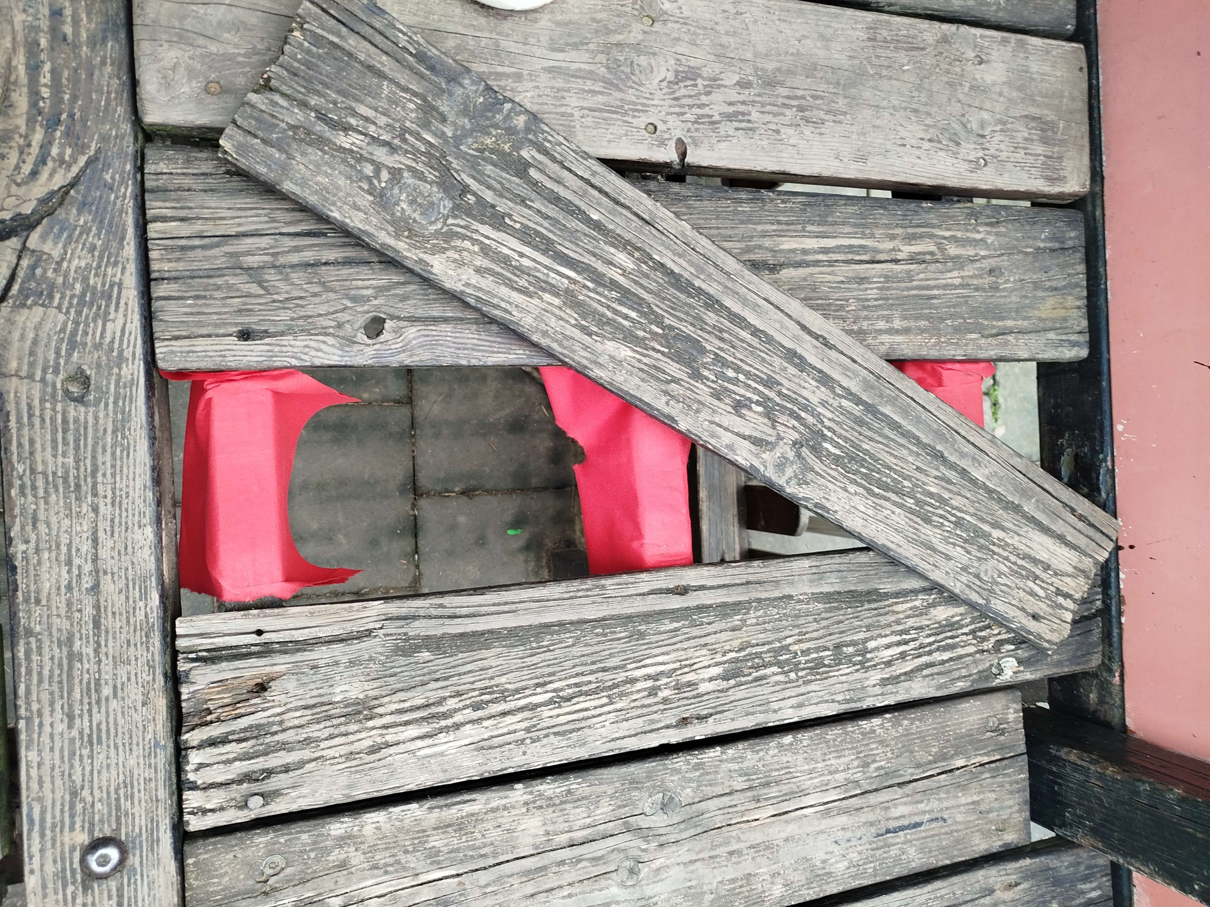 Immagine della segnalazione