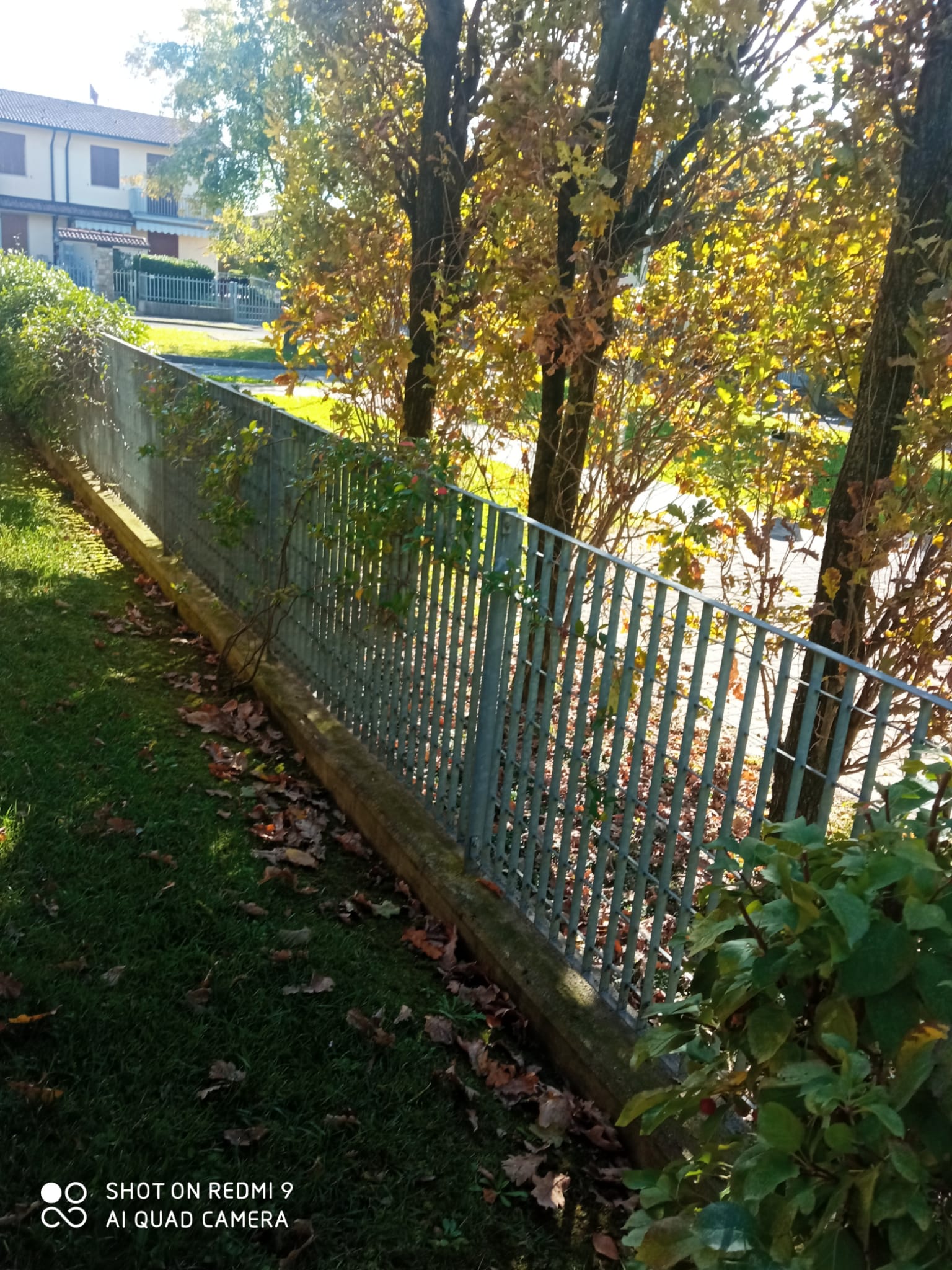 Immagine della segnalazione