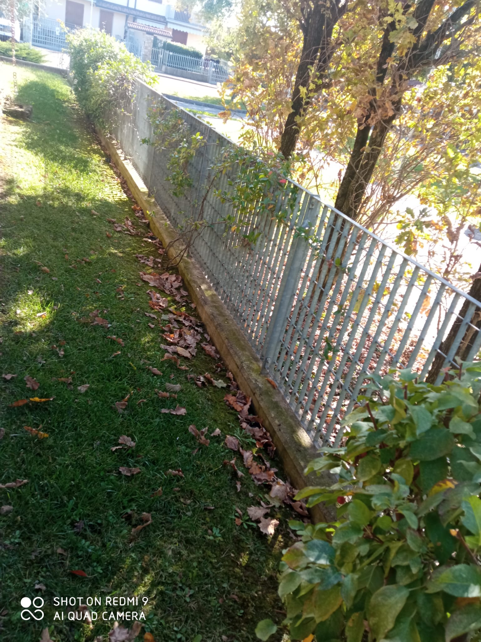 Immagine della segnalazione