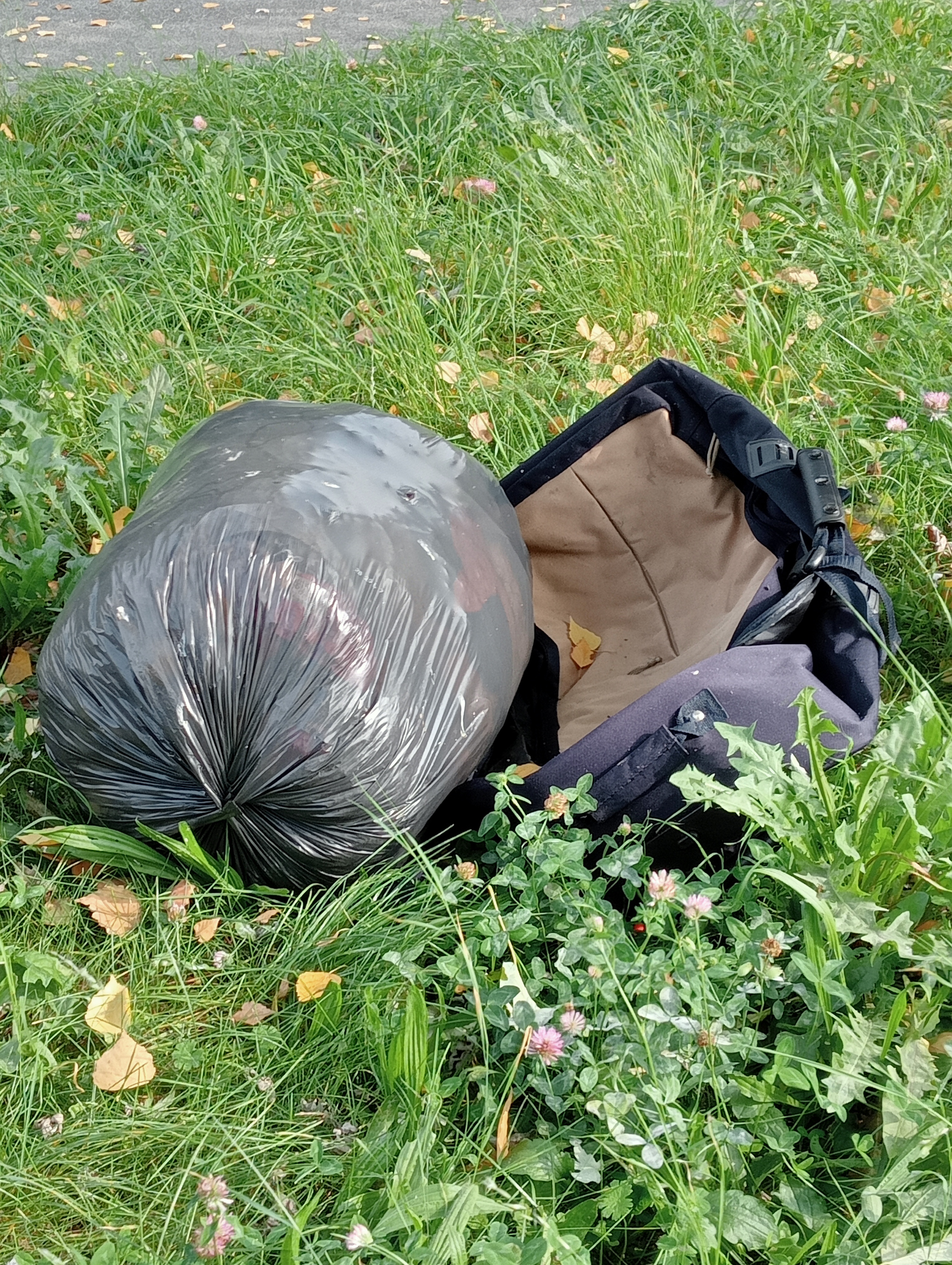 Immagine della segnalazione