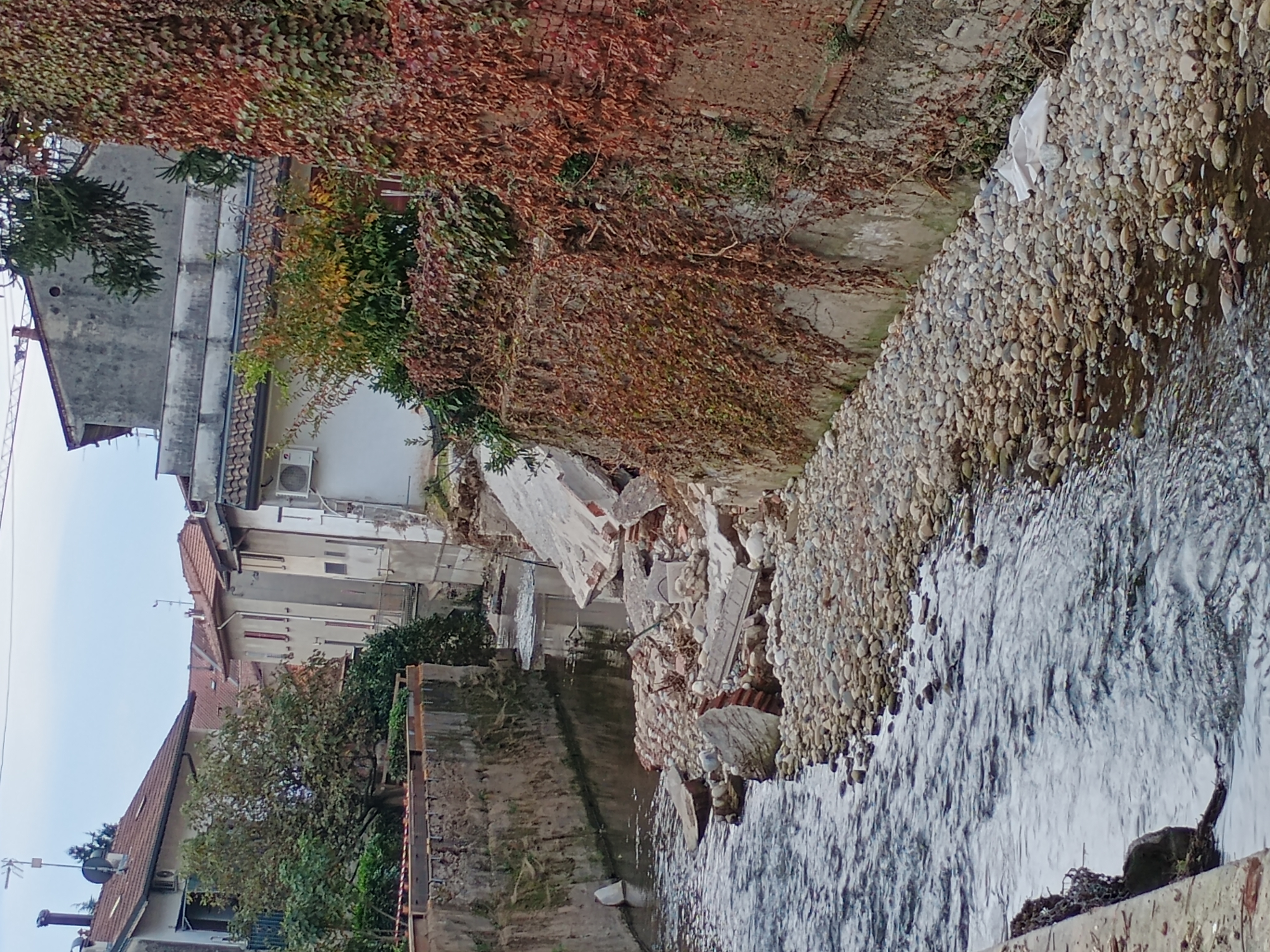 Immagine della segnalazione