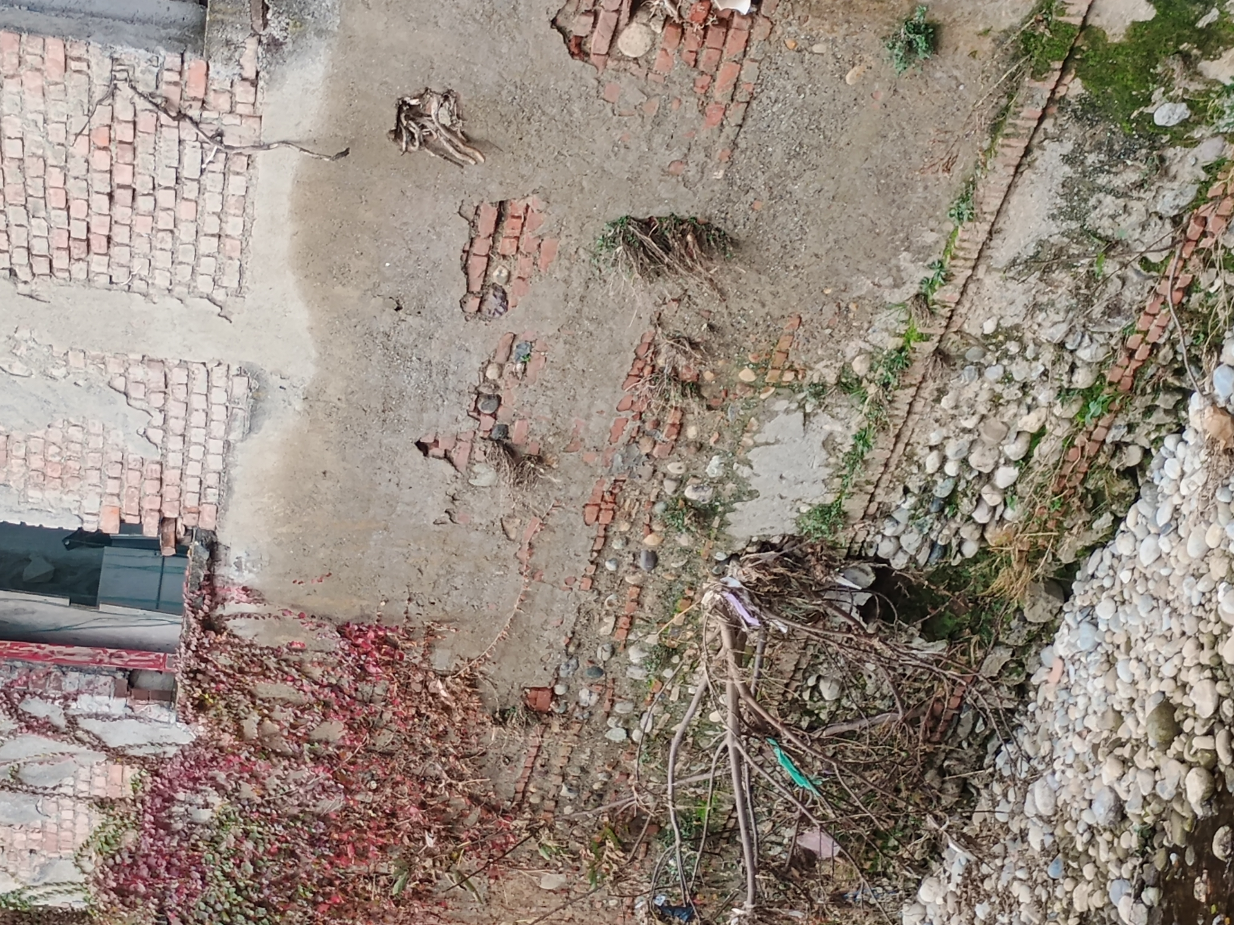 Immagine della segnalazione