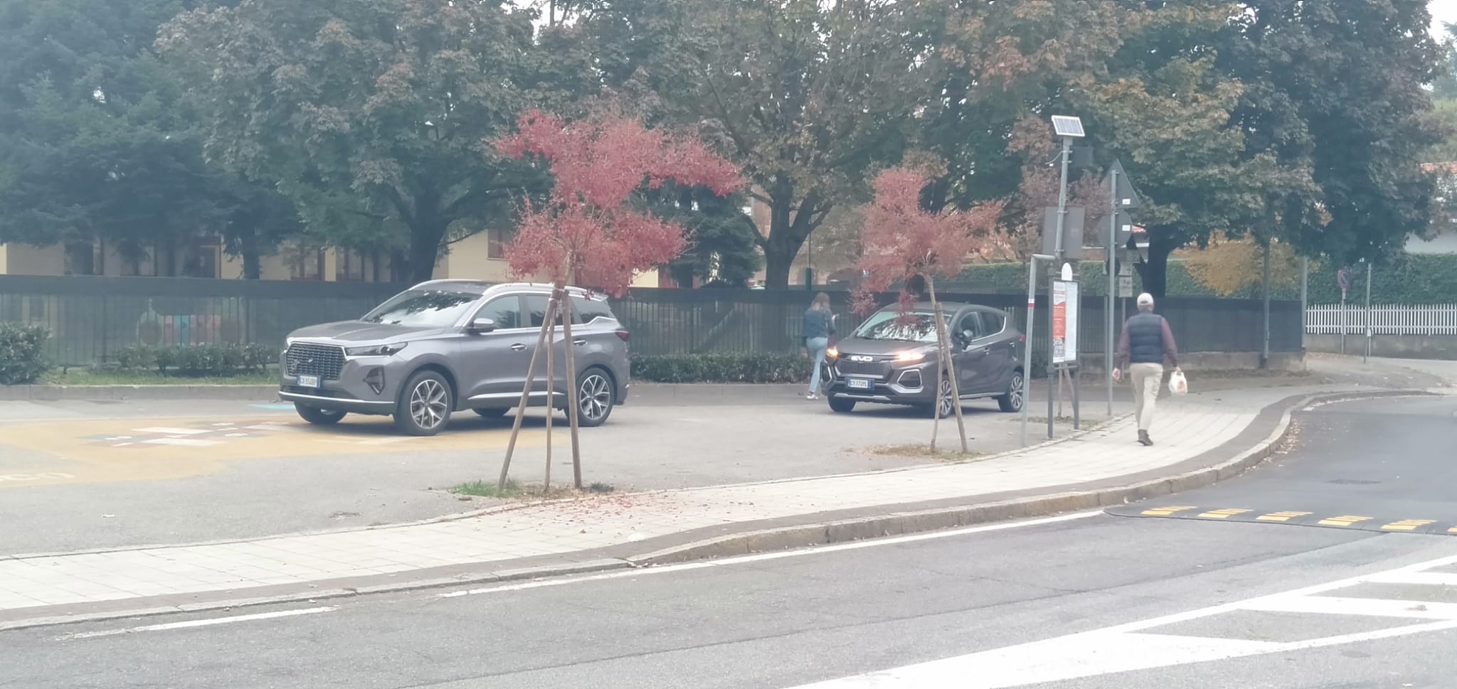 Immagine della segnalazione