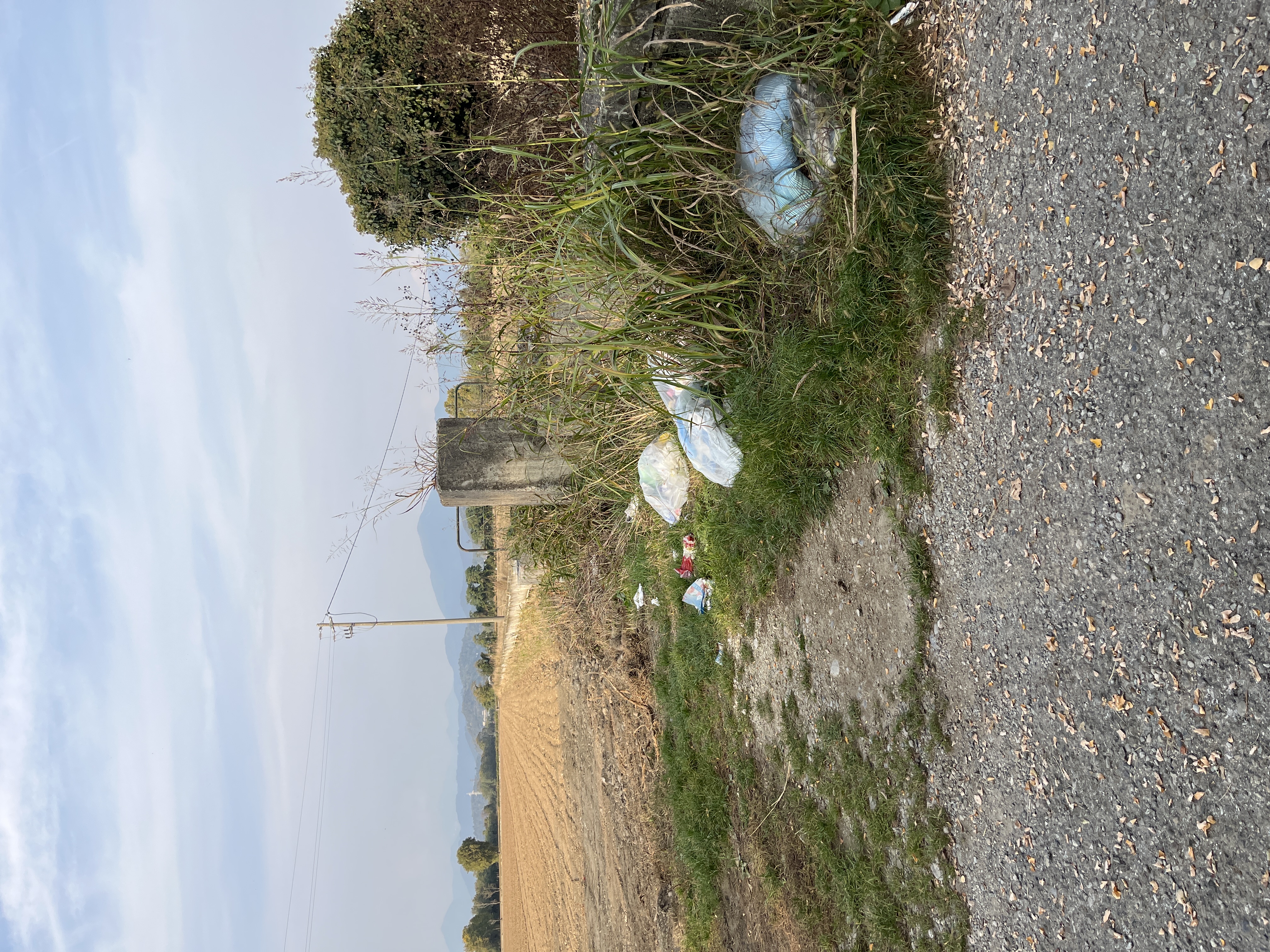 Immagine della segnalazione