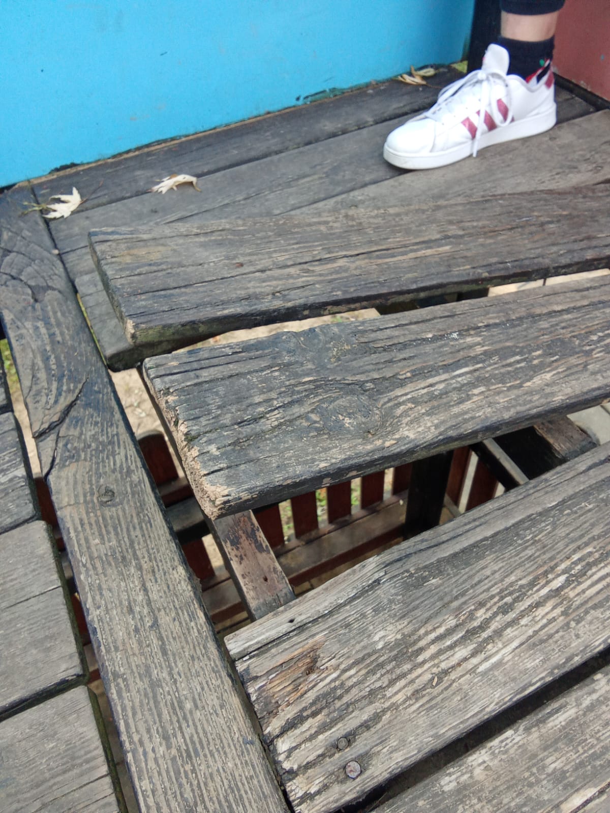 Immagine della segnalazione