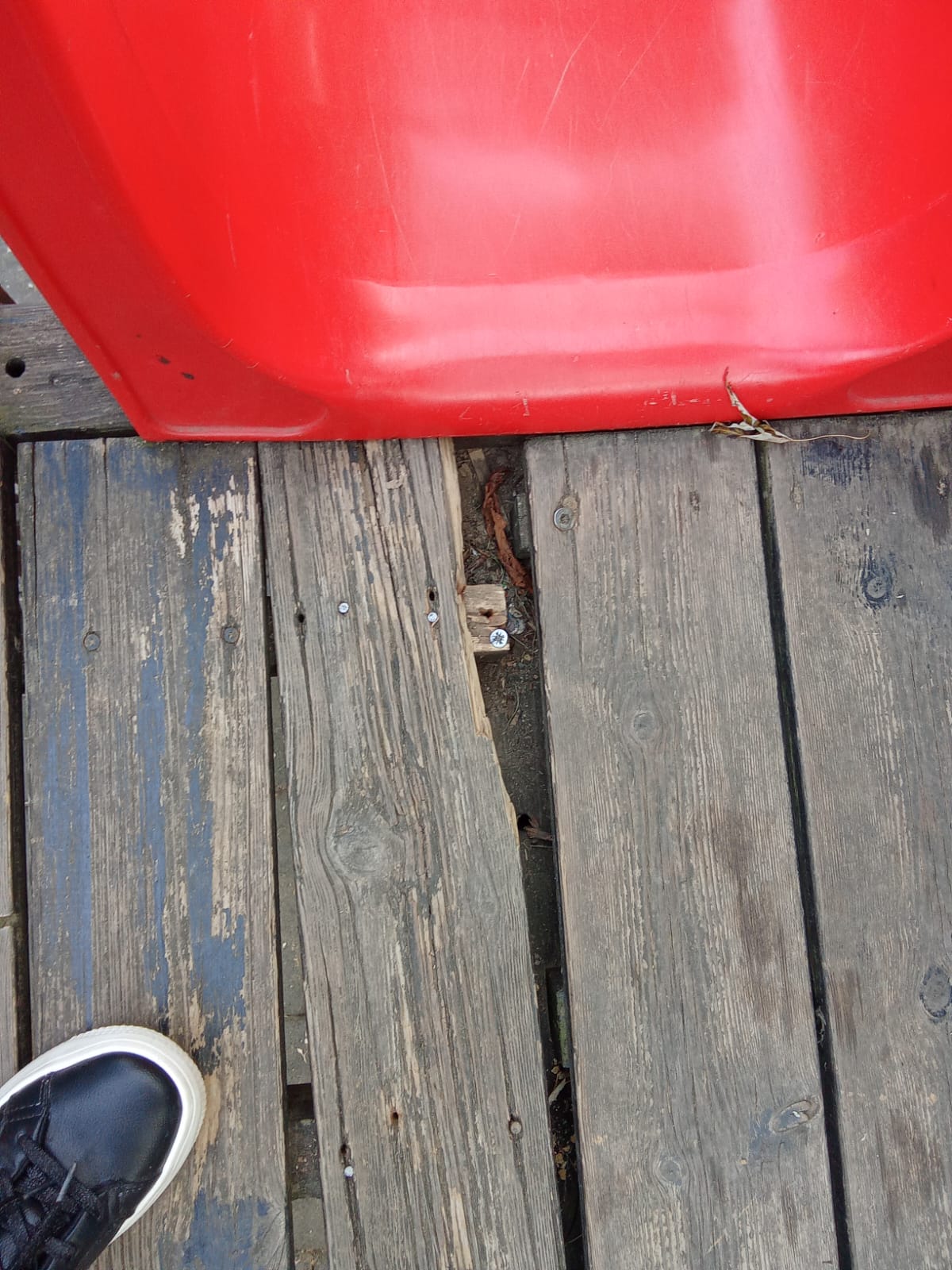 Immagine della segnalazione