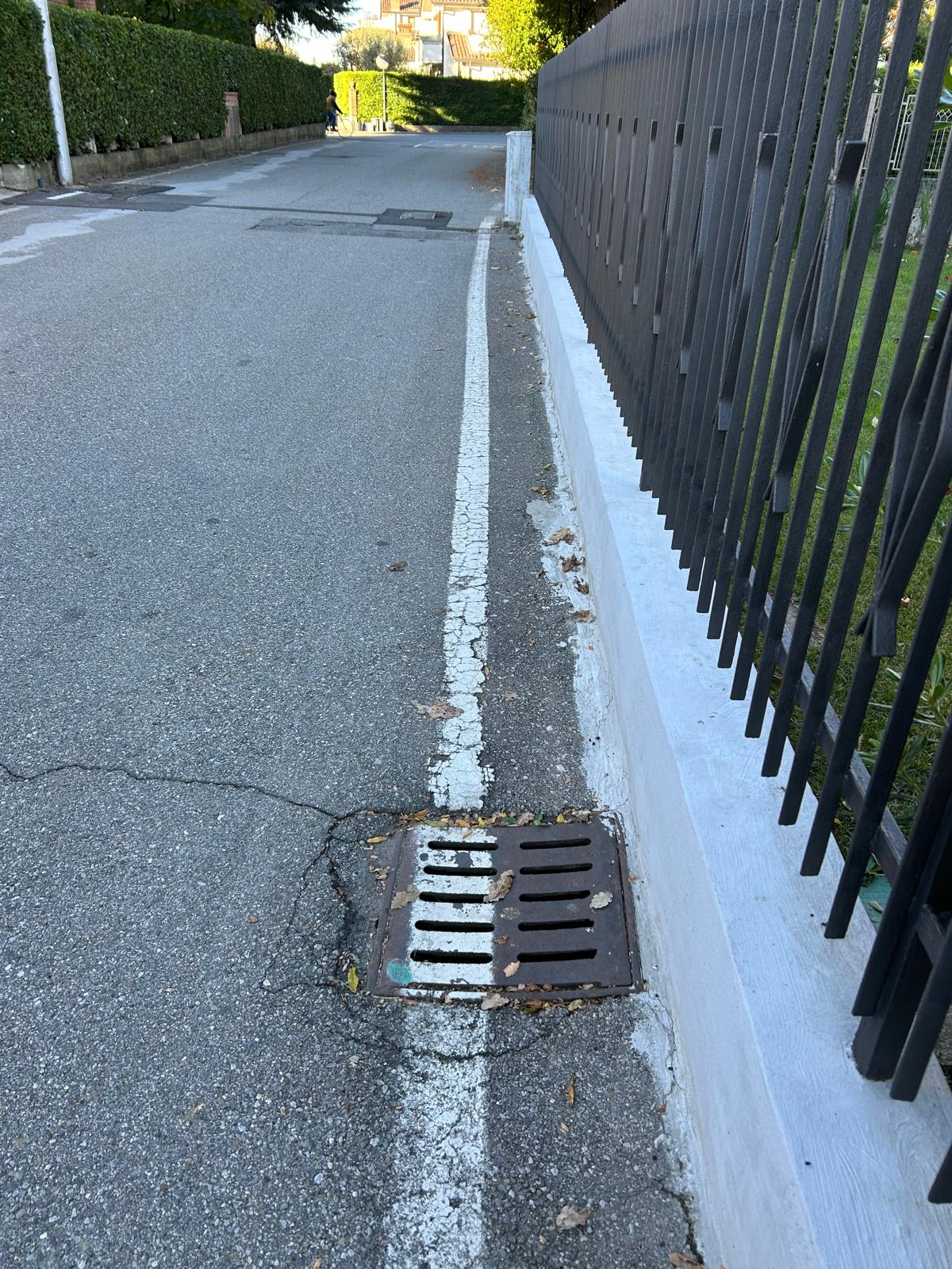 Immagine della segnalazione