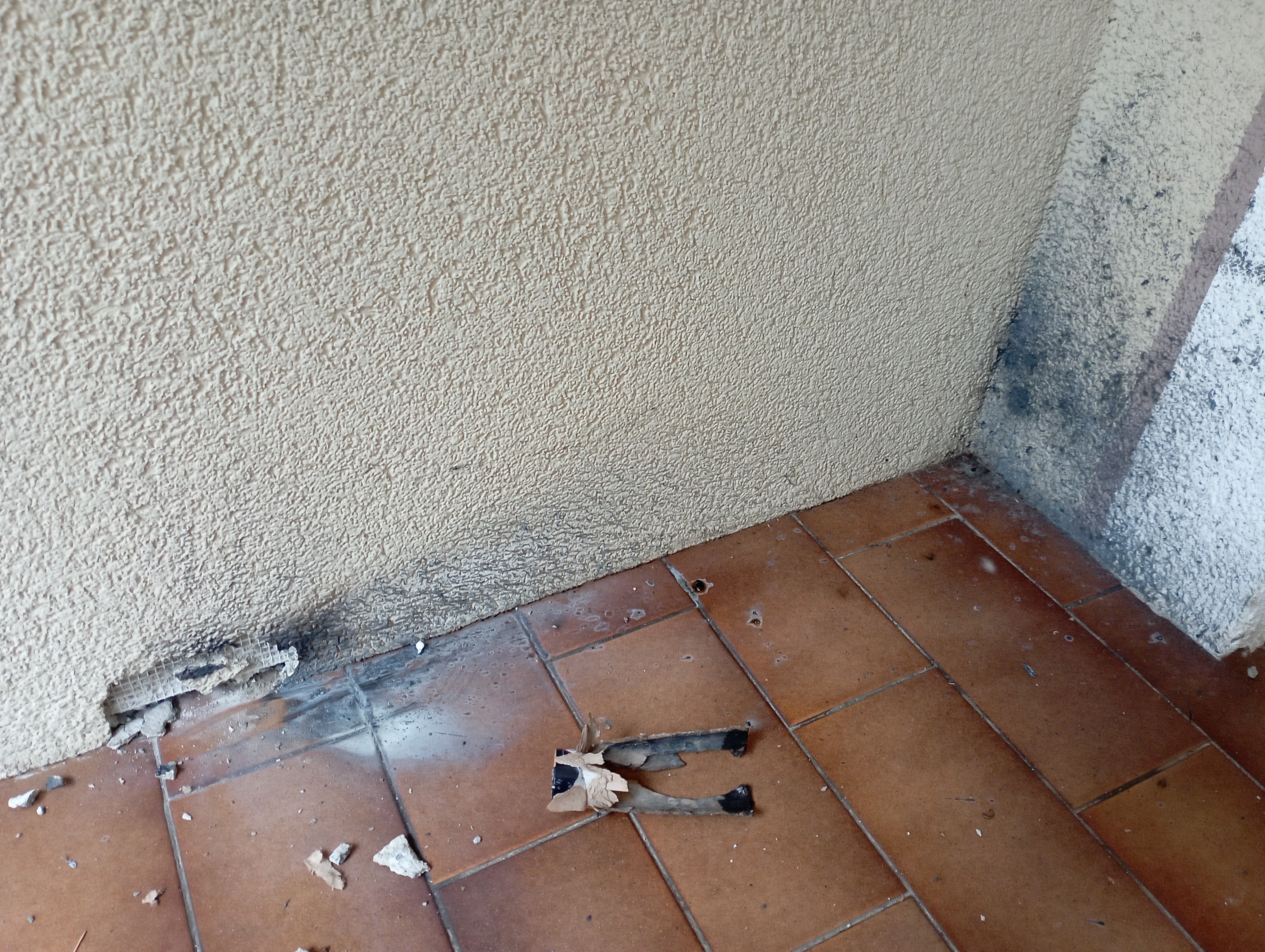 Immagine della segnalazione