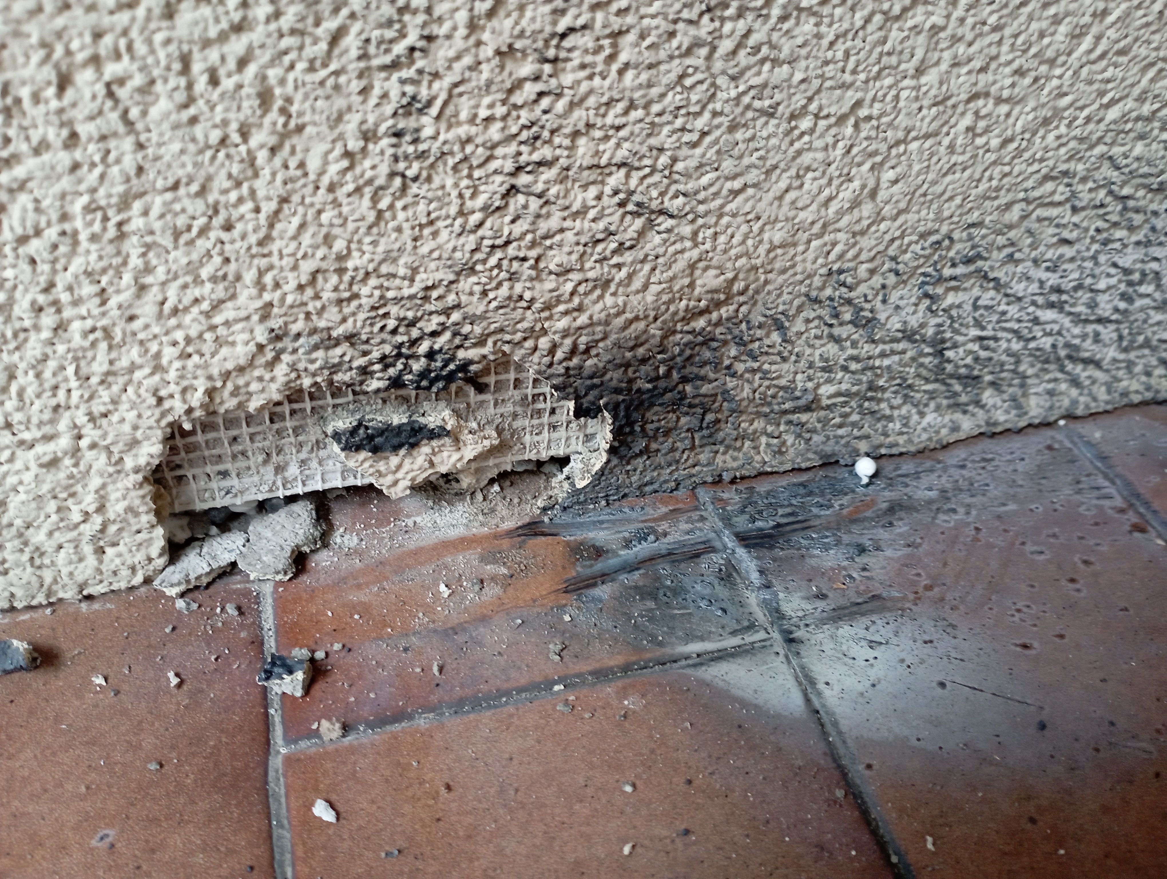 Immagine della segnalazione