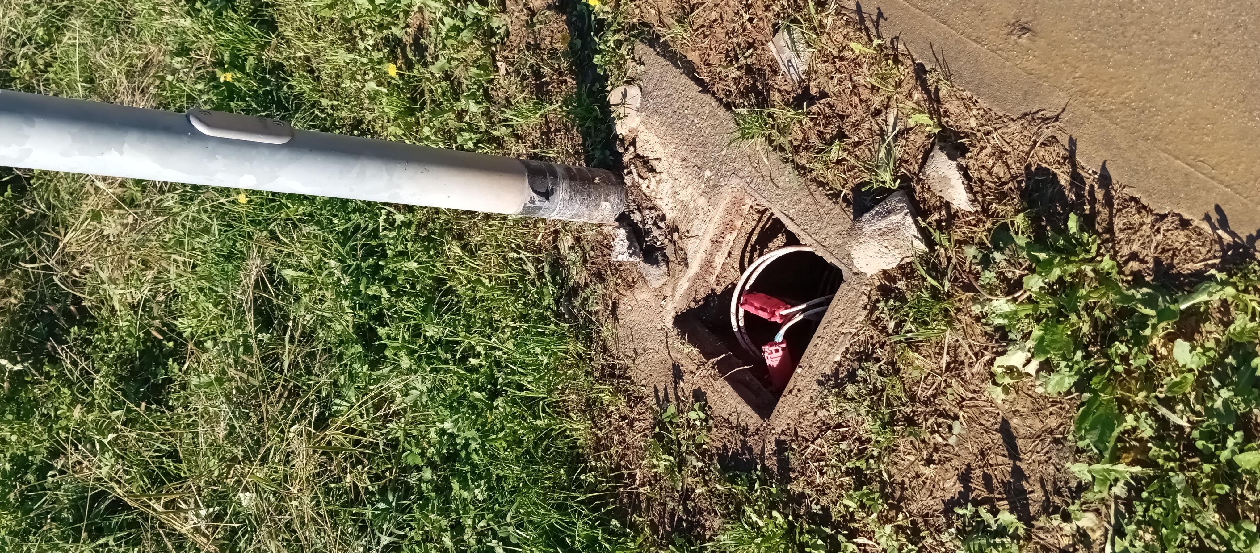 Immagine della segnalazione