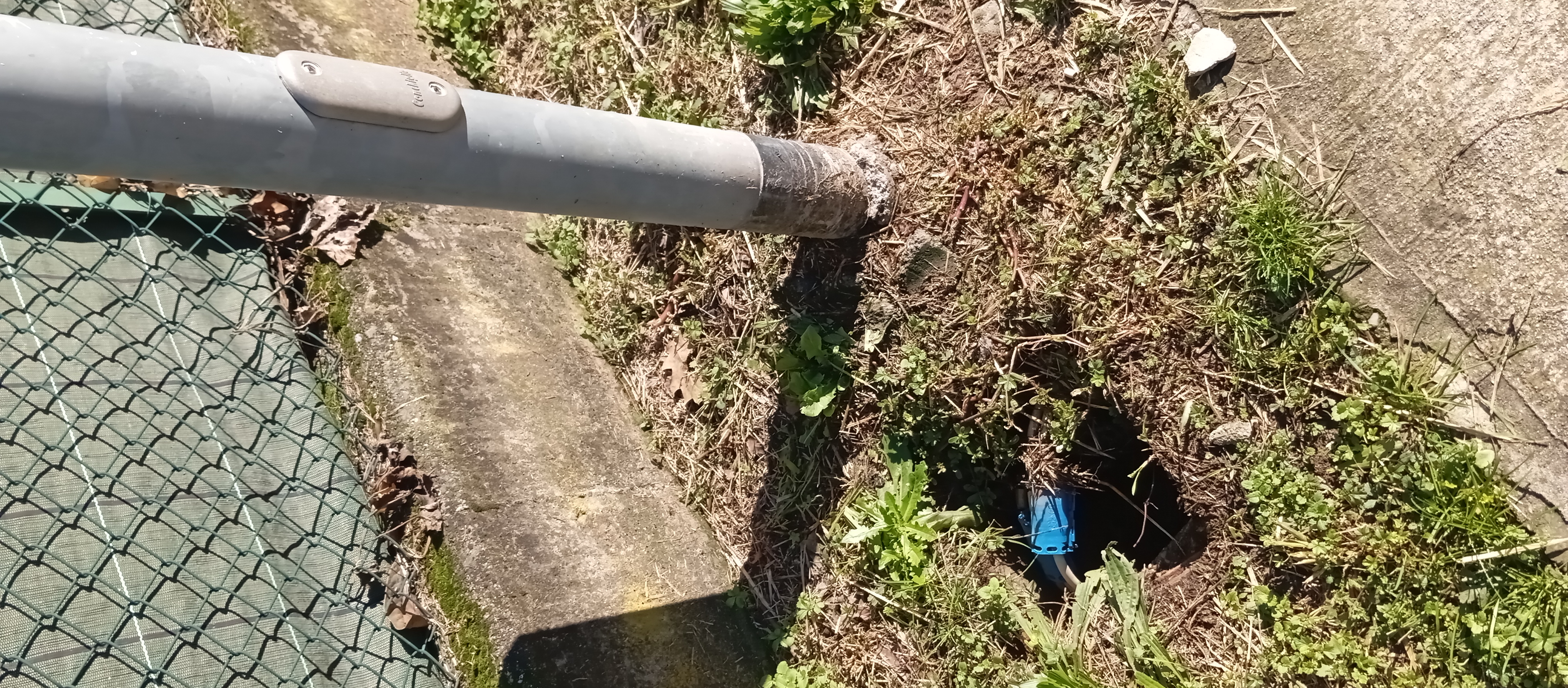 Immagine della segnalazione