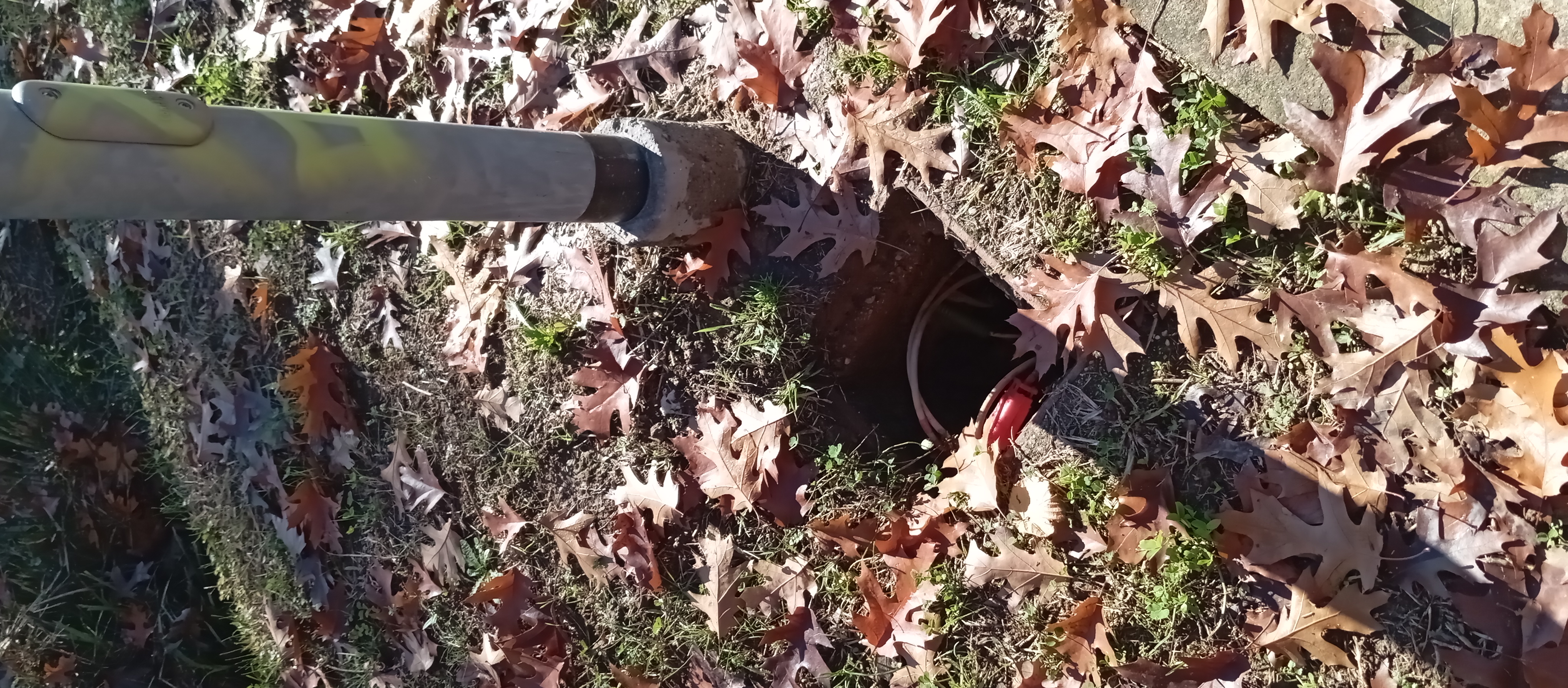 Immagine della segnalazione