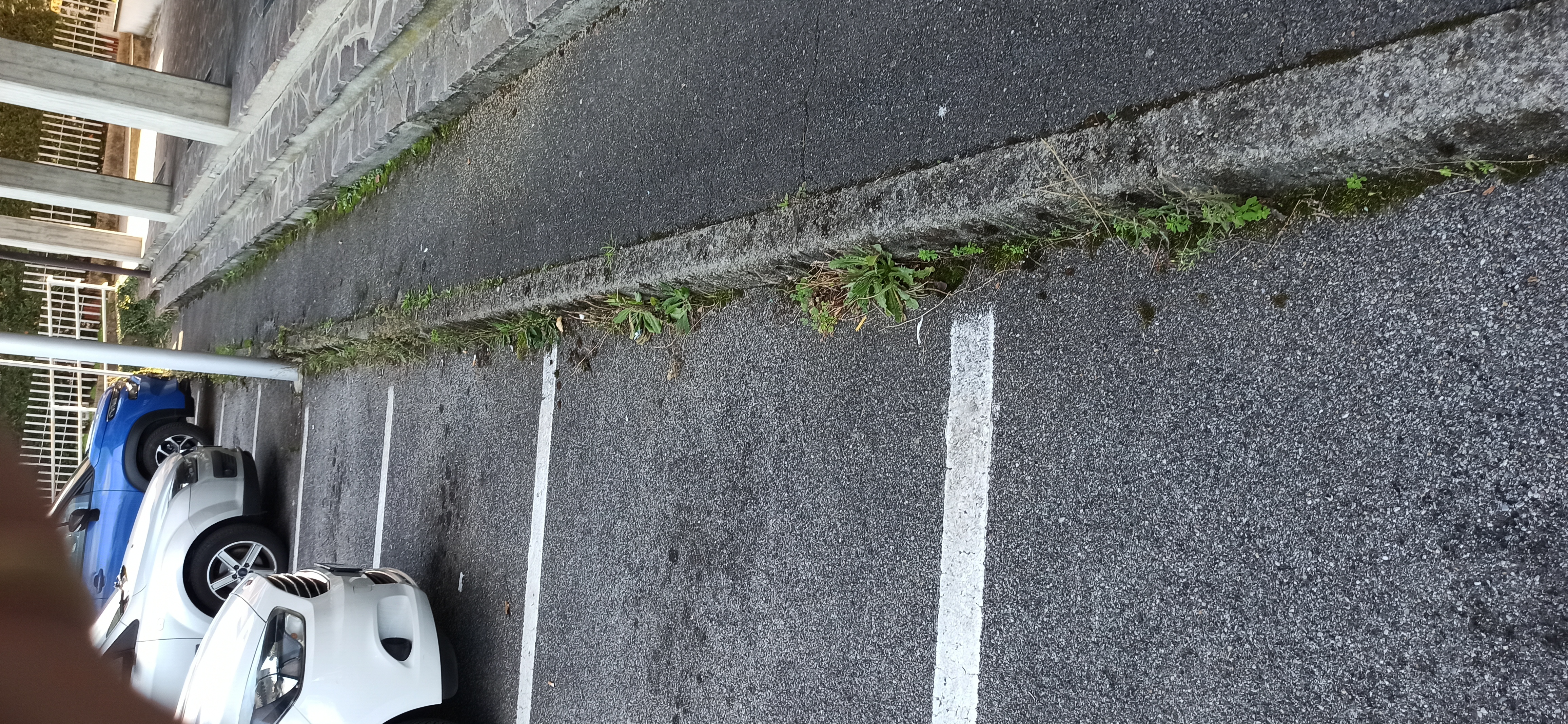 Immagine della segnalazione