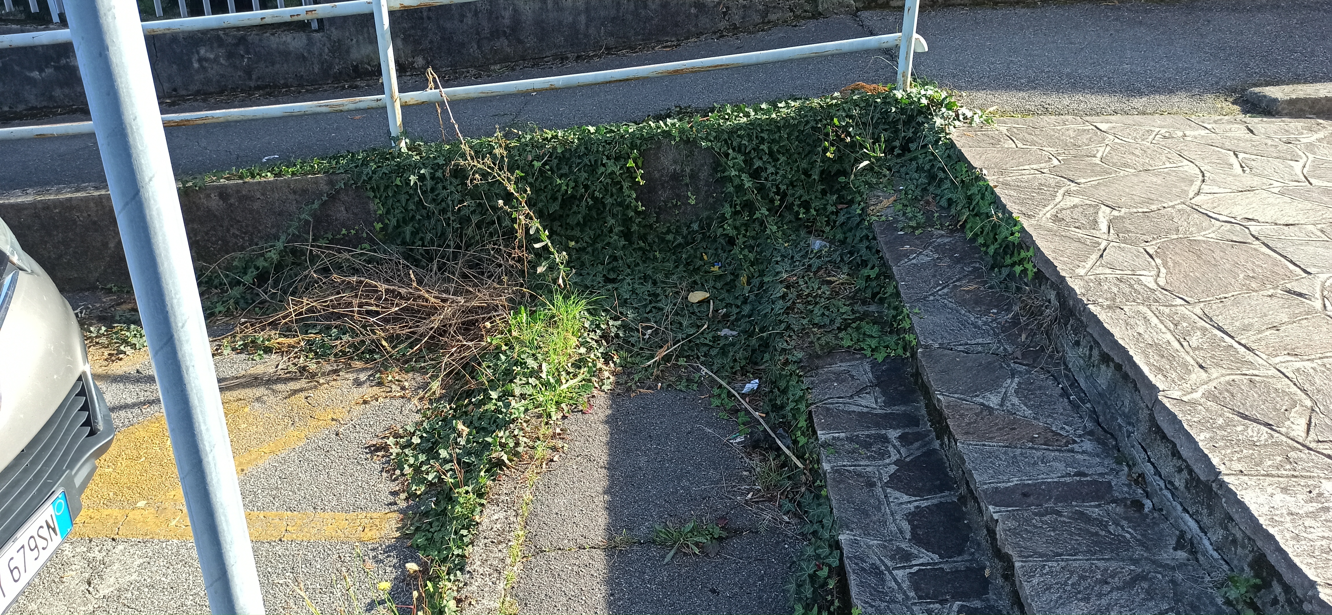 Immagine della segnalazione