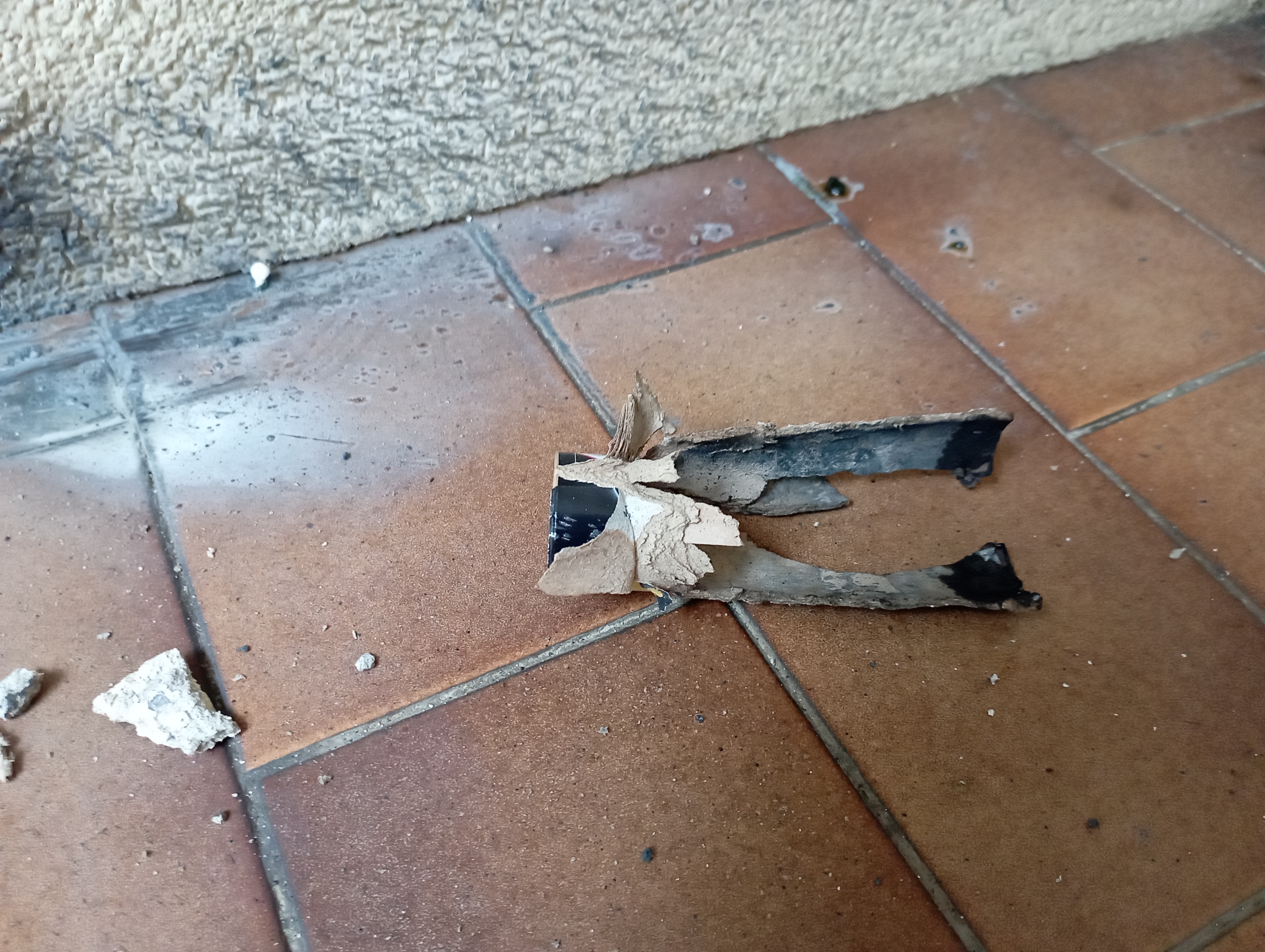 Immagine della segnalazione