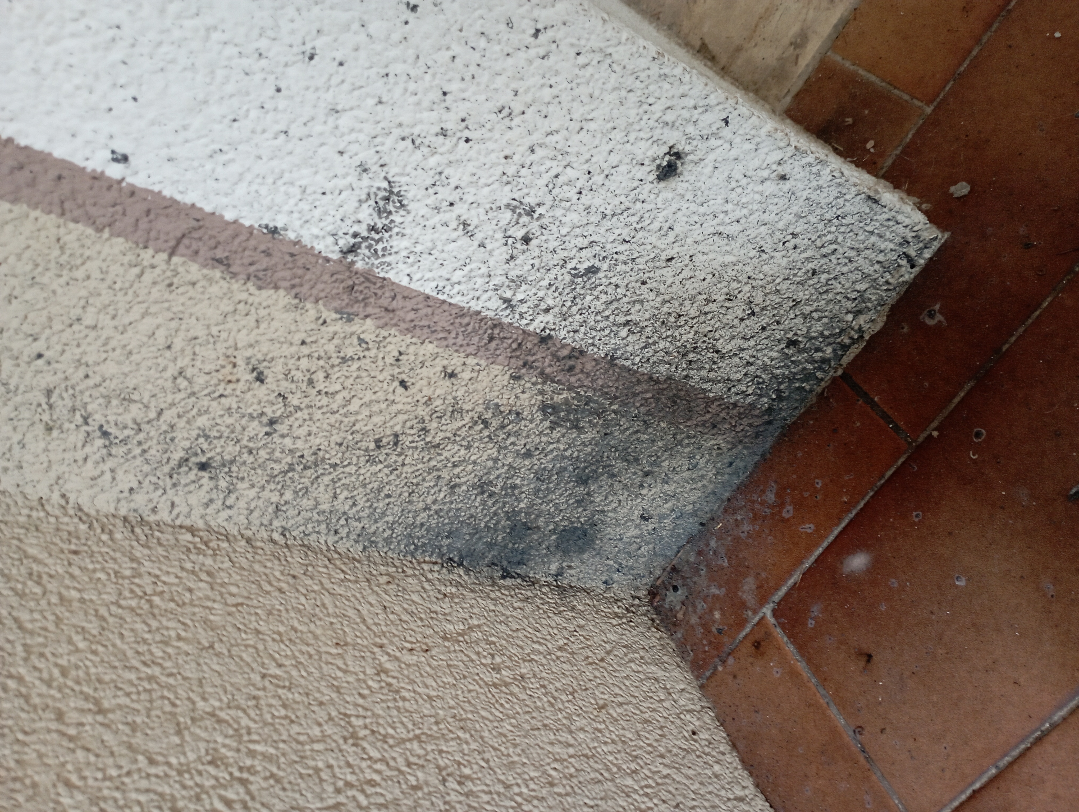 Immagine della segnalazione