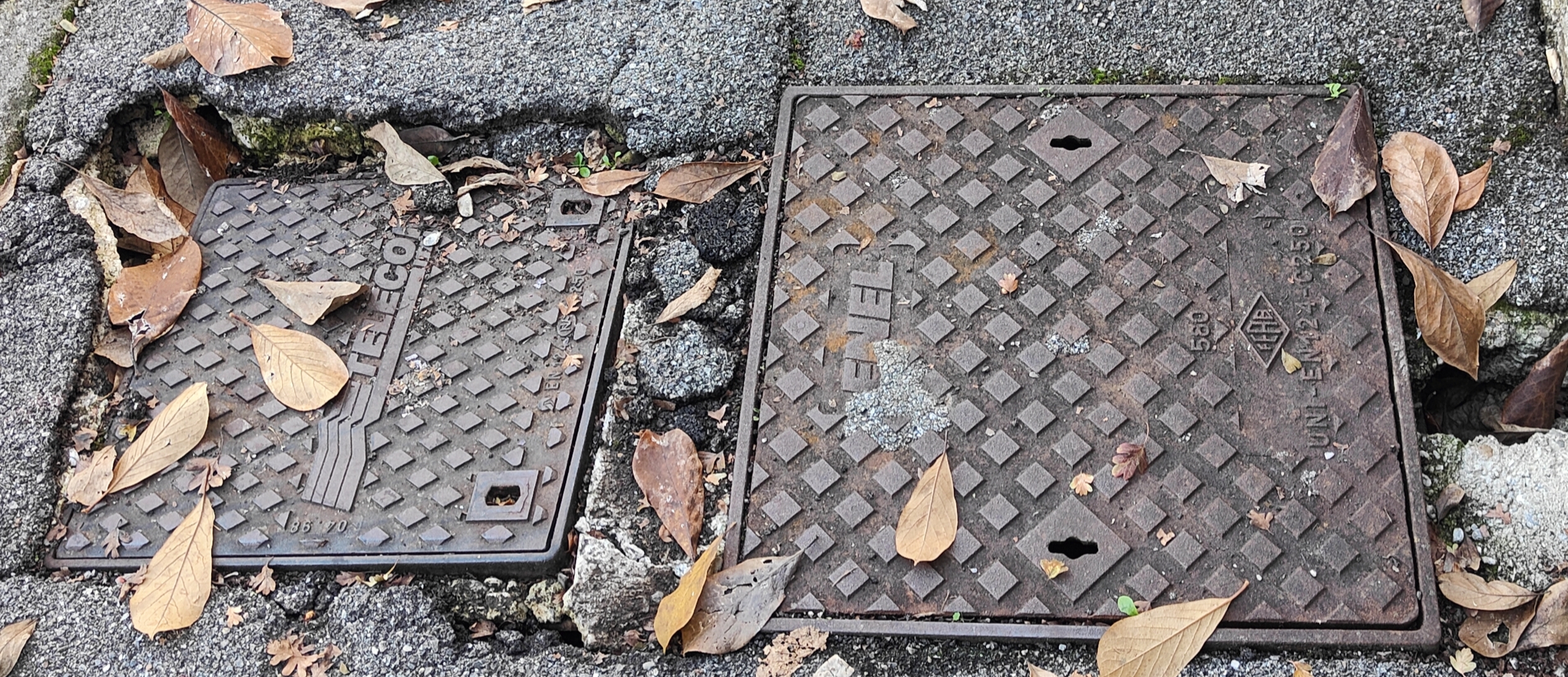 Immagine della segnalazione